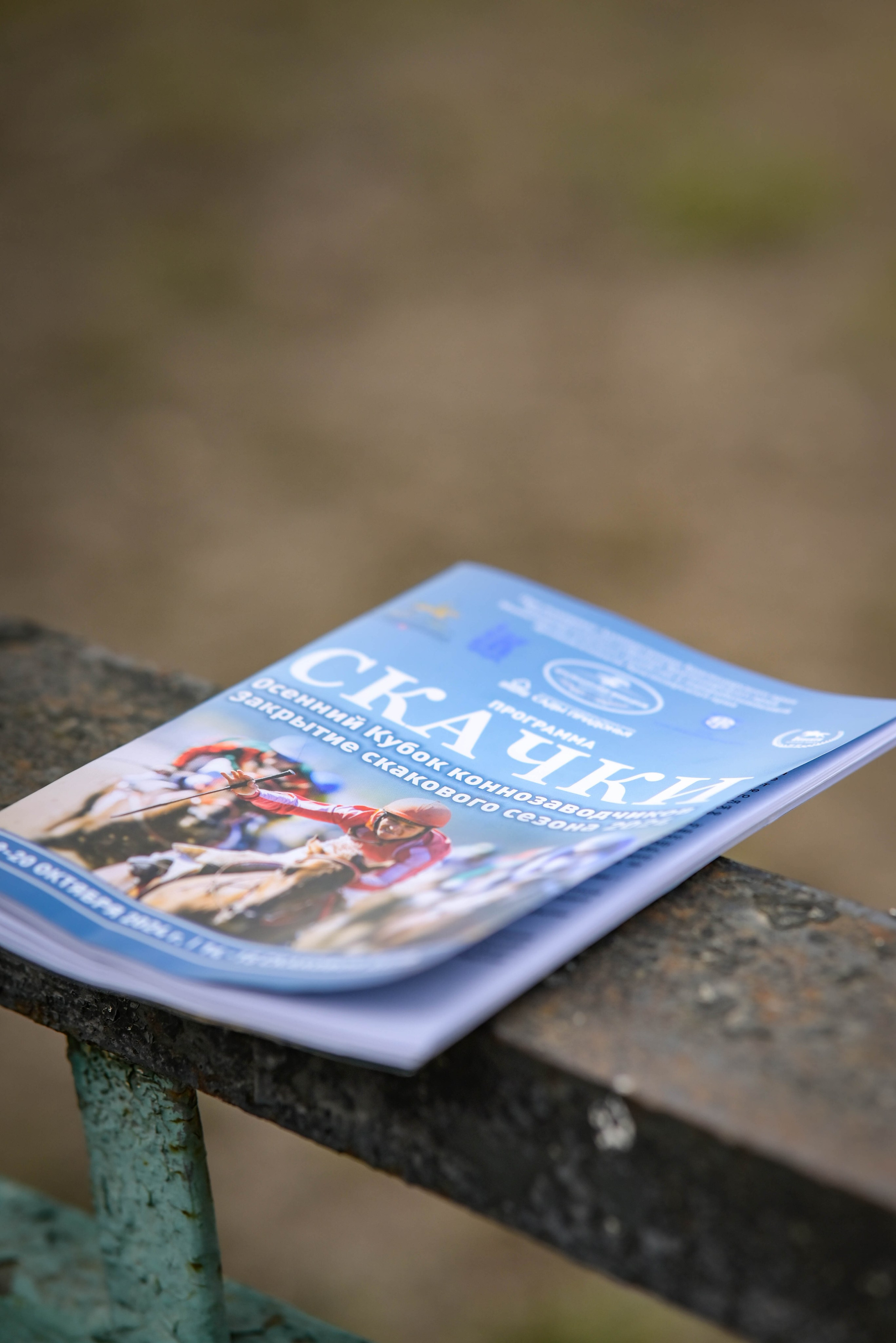 Закрытие скакового сезона 2024 г. Краснодар. Фотограф Краснодар Наталья Сувит