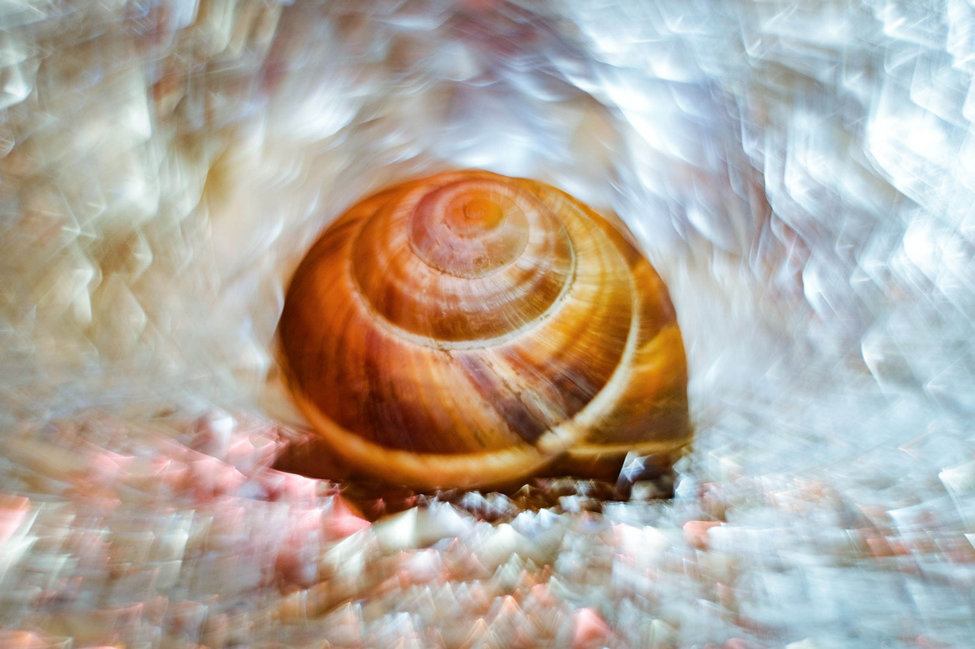 фотограф в Геленджике, фотограф Геленджик