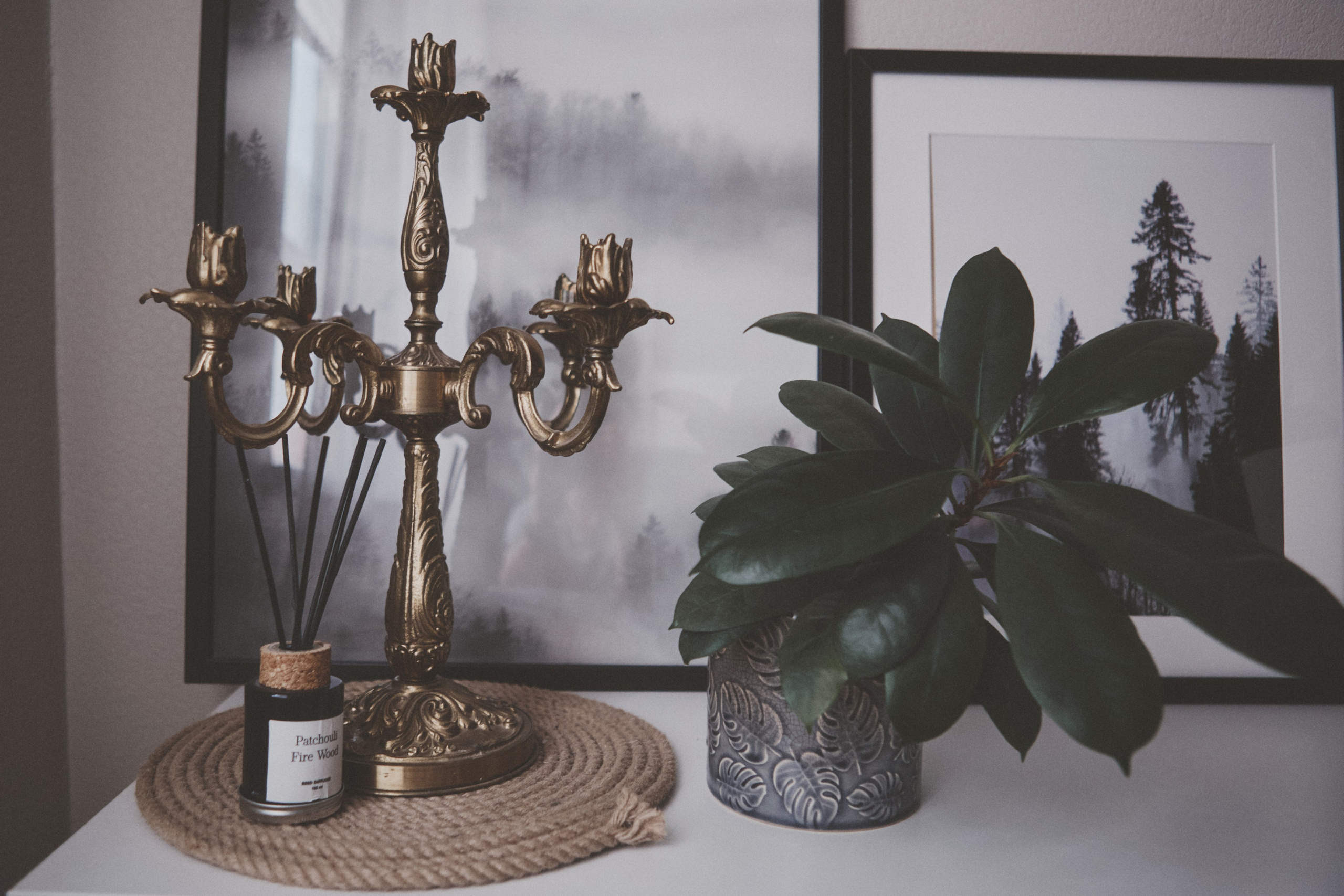 Masha. Portrait, family and pet photographer in Cyprus, Ksenia Bourdelle