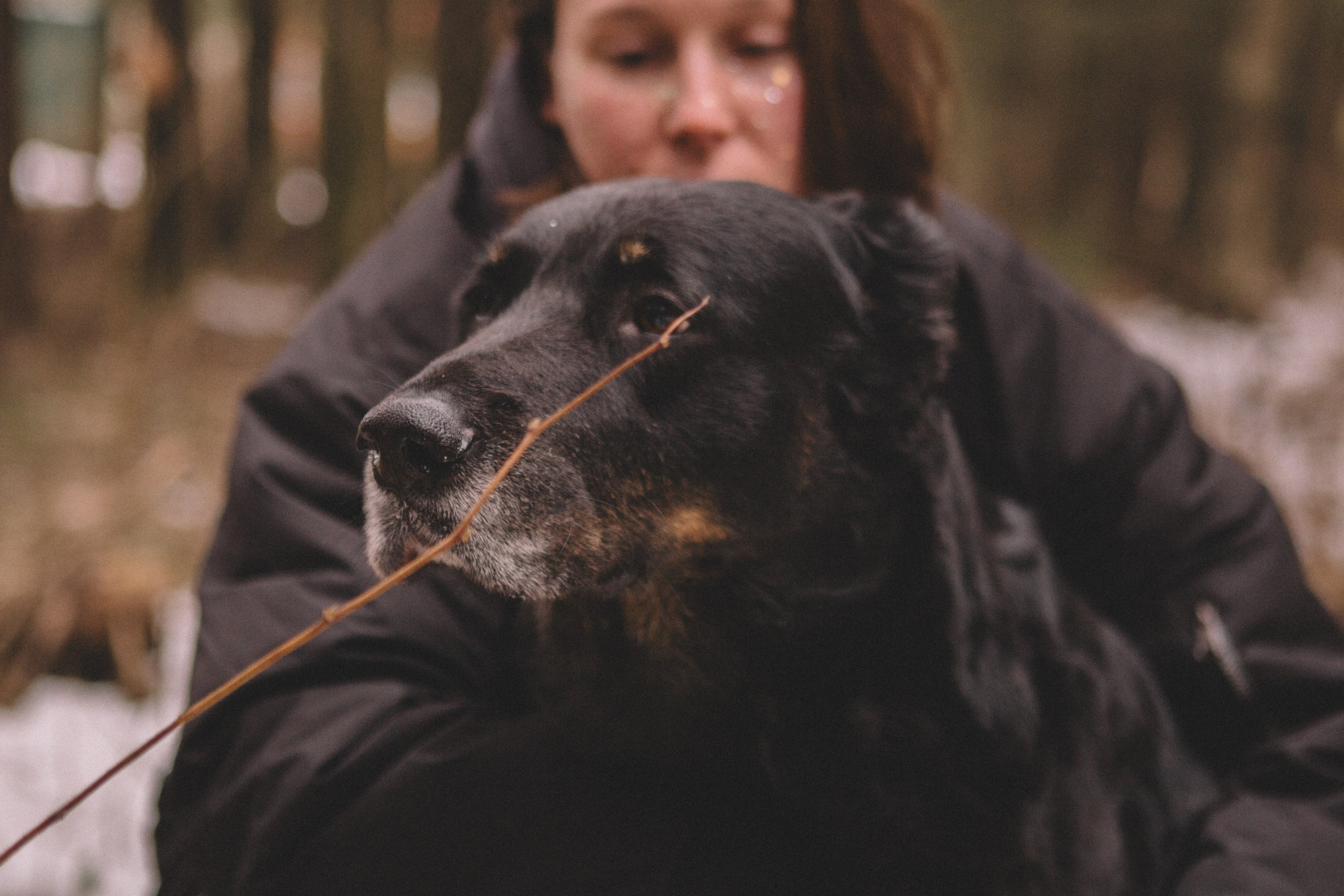 Alyona & Felix. Portrait, family and pet photographer in Cyprus, Ksenia Bourdelle