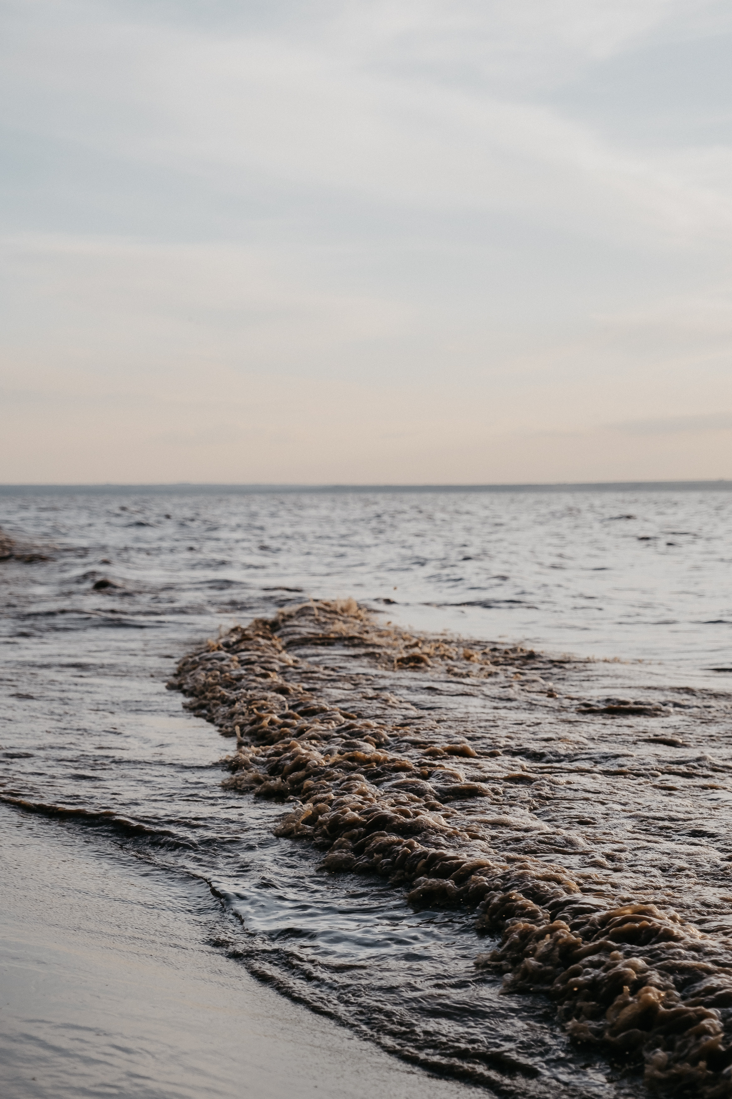 Даня и Крис. Свадебный и семейный фотограф в Волгограде Кристина Иванова