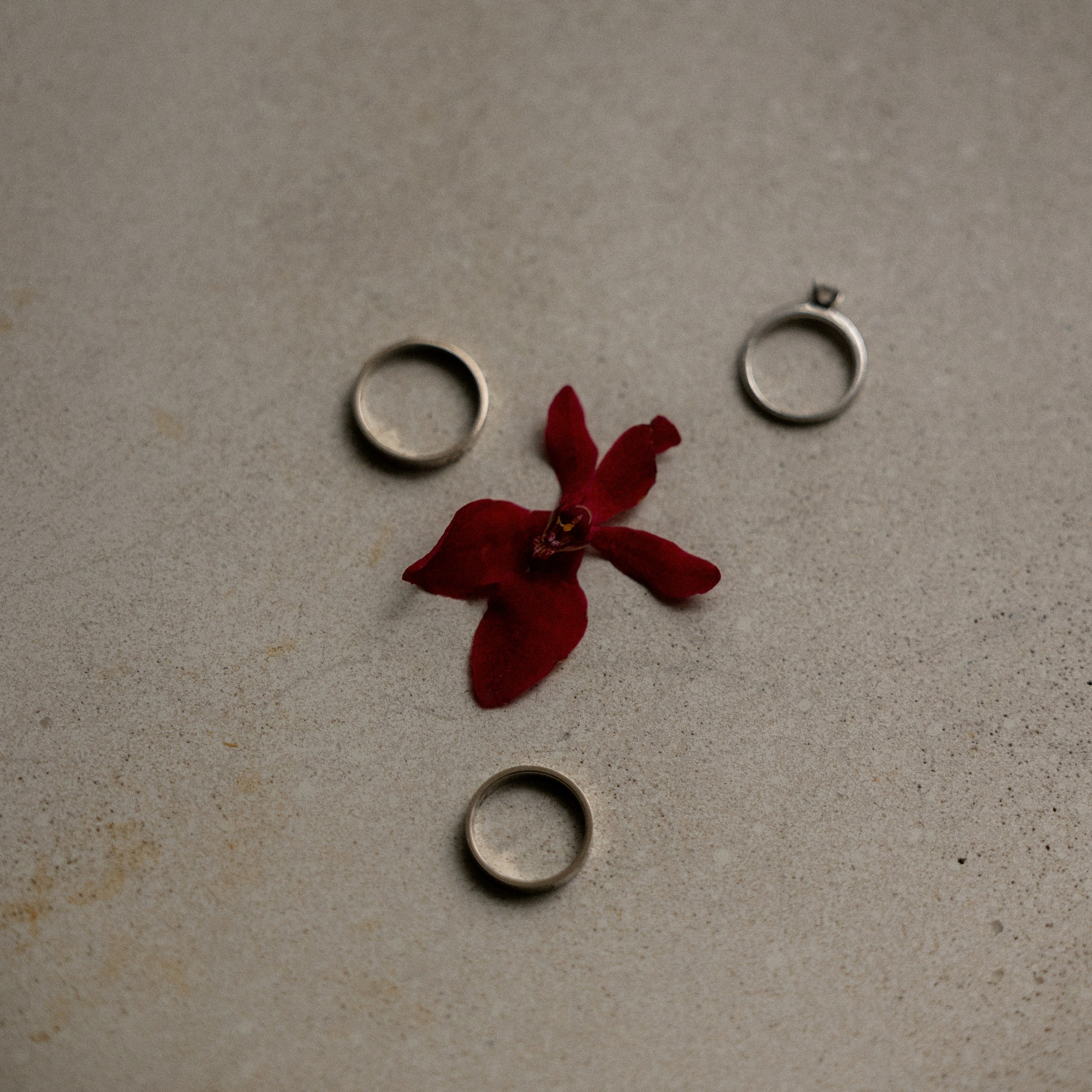 Vlad & Kate. Оформление свадеб, декор свадеб Вера Маркова, Москва