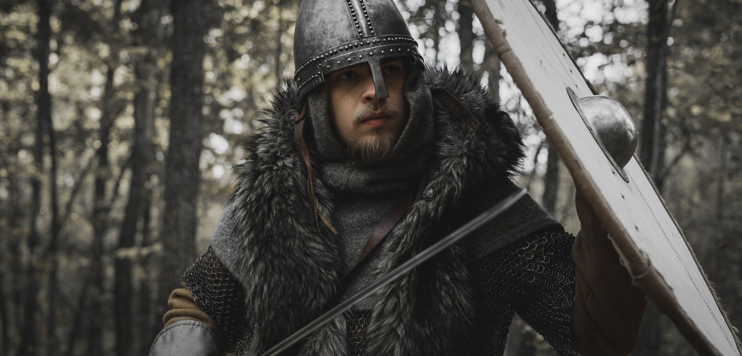 Викинг. Ab extra