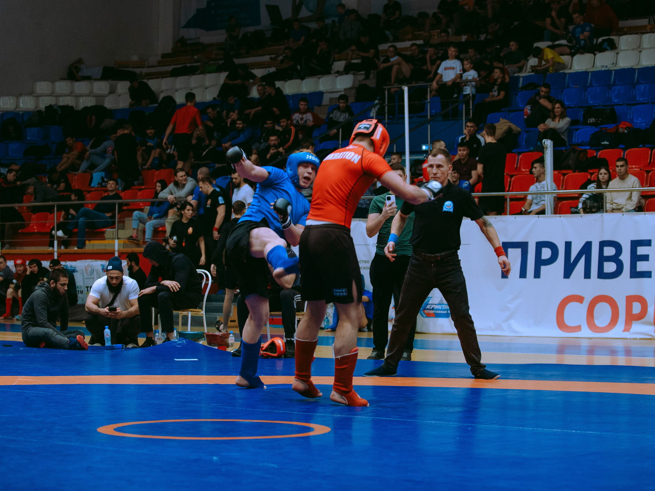 ПАНКРАТИОН | Чемпионат и первенство СФО | март `24. Портретный фотограф в Москве Дарья Цезария