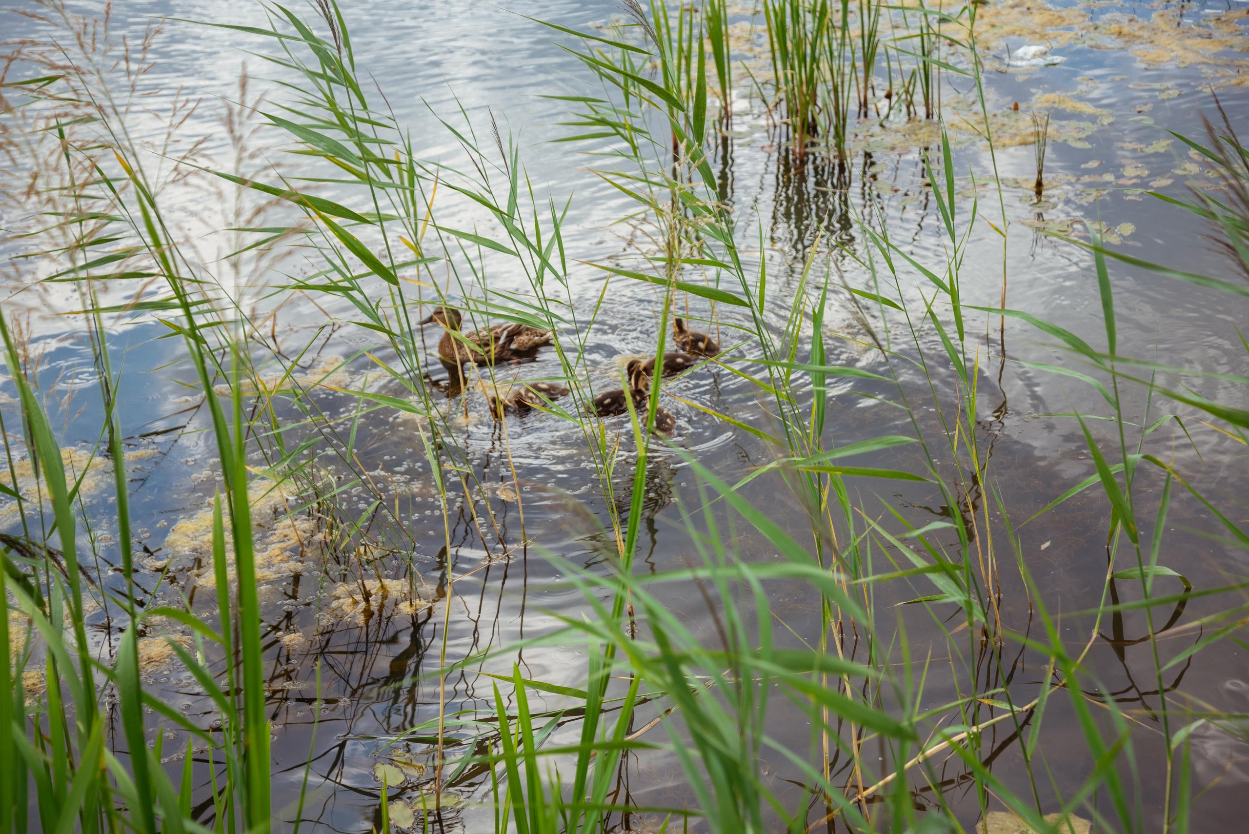 Фотосессия для редактора газеты. Фотограф Иваново, Тейково Татьяна Гужва
