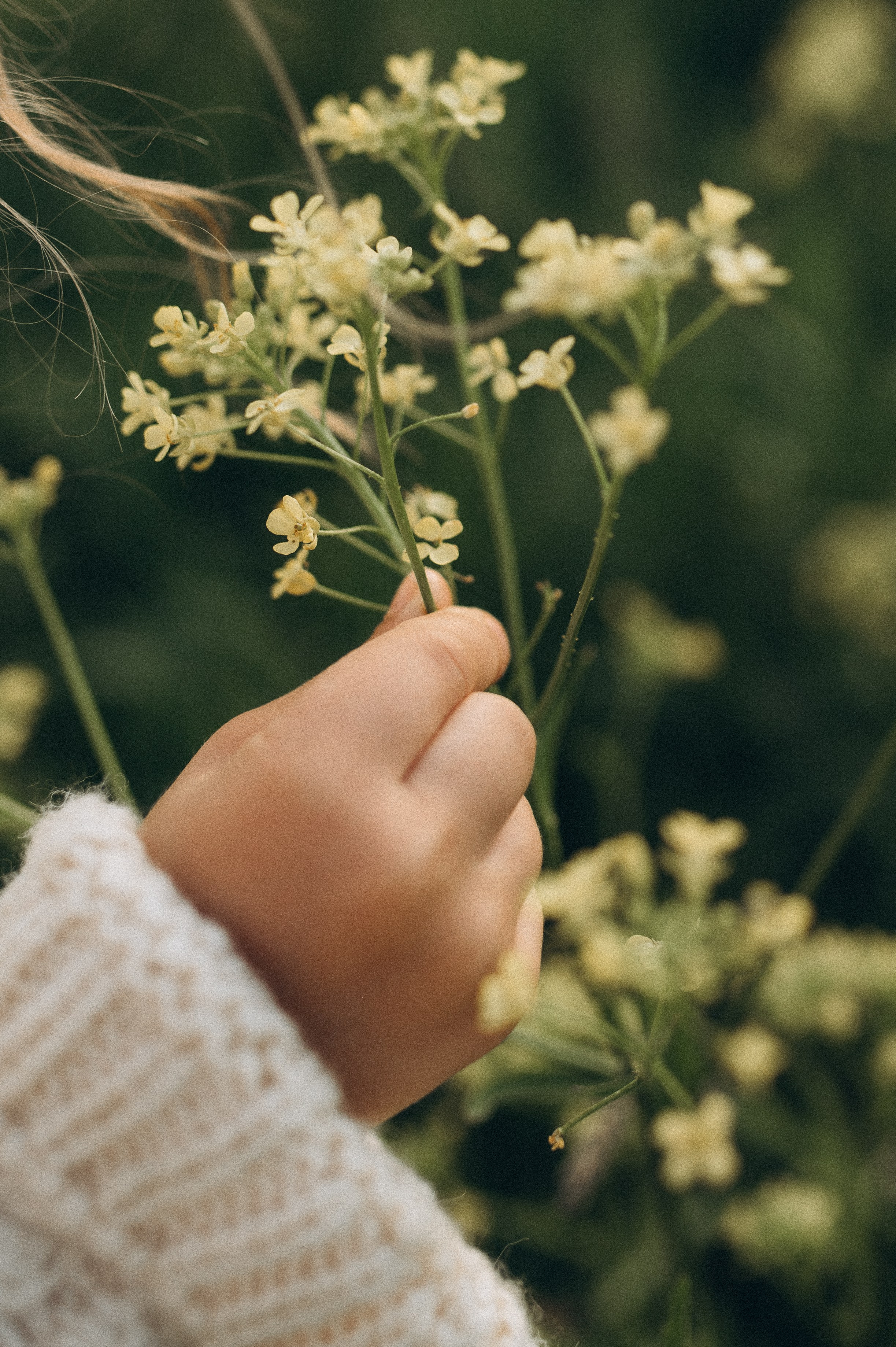 Мамины объятья. Фотограф Быстрова Дарья г. Москва