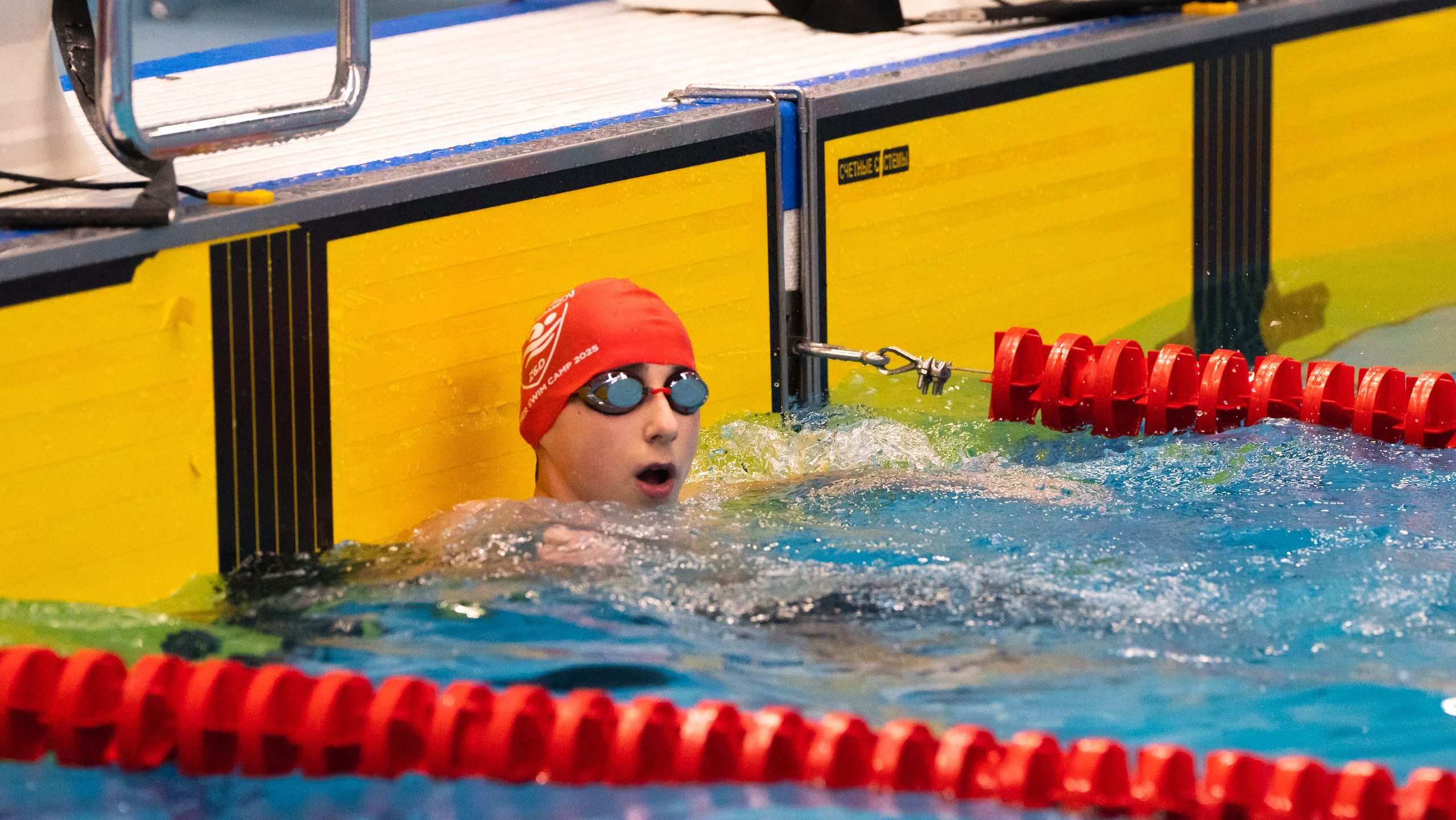 Открытый новогодний турнир по плаванию «Сила воды», 2025. Фотограф и видеооператор Екатерина Гнатюк