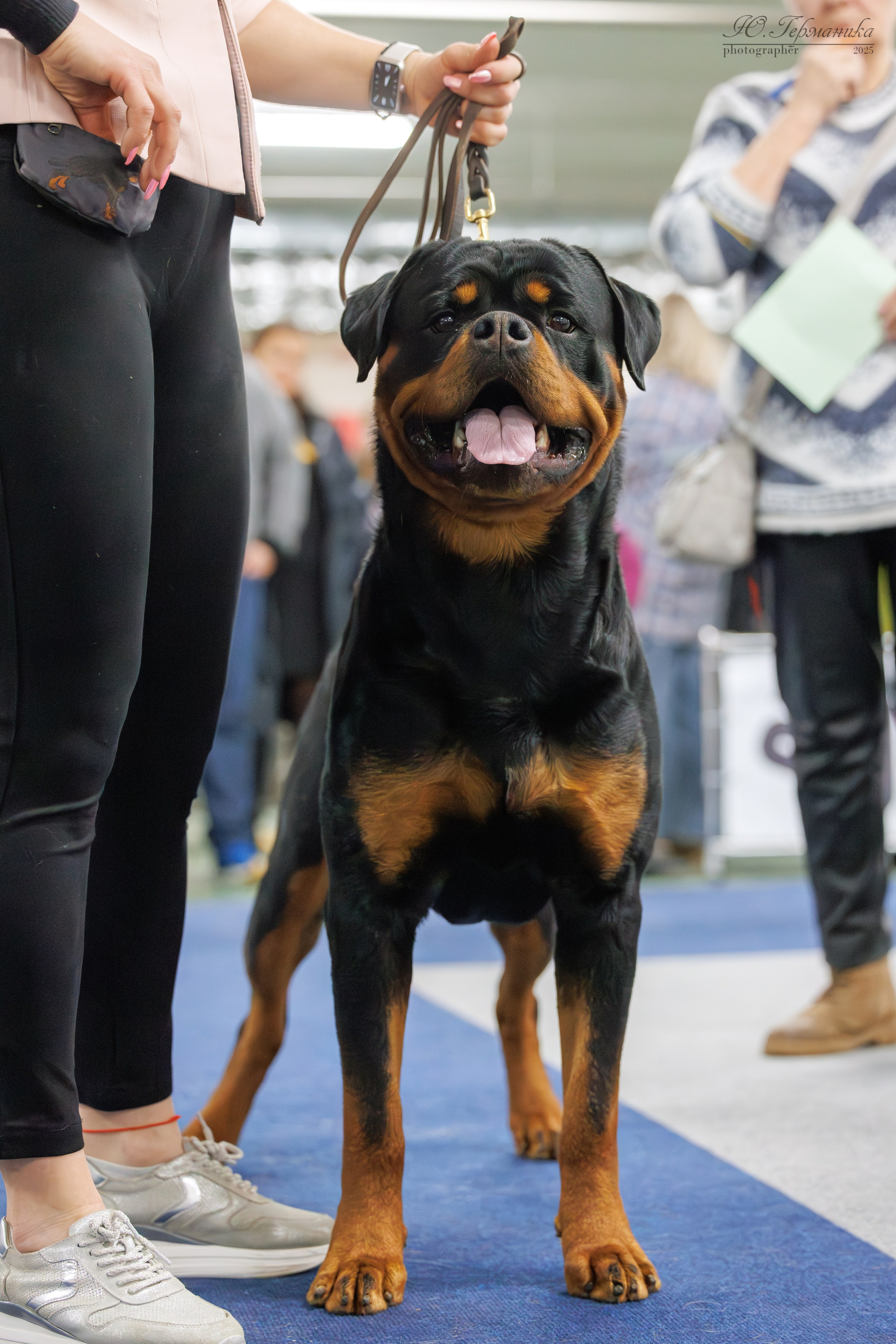 Сфера и Крокус 8,9,16 и 30.03.2025. Фотограф-анималист Юлия Германика