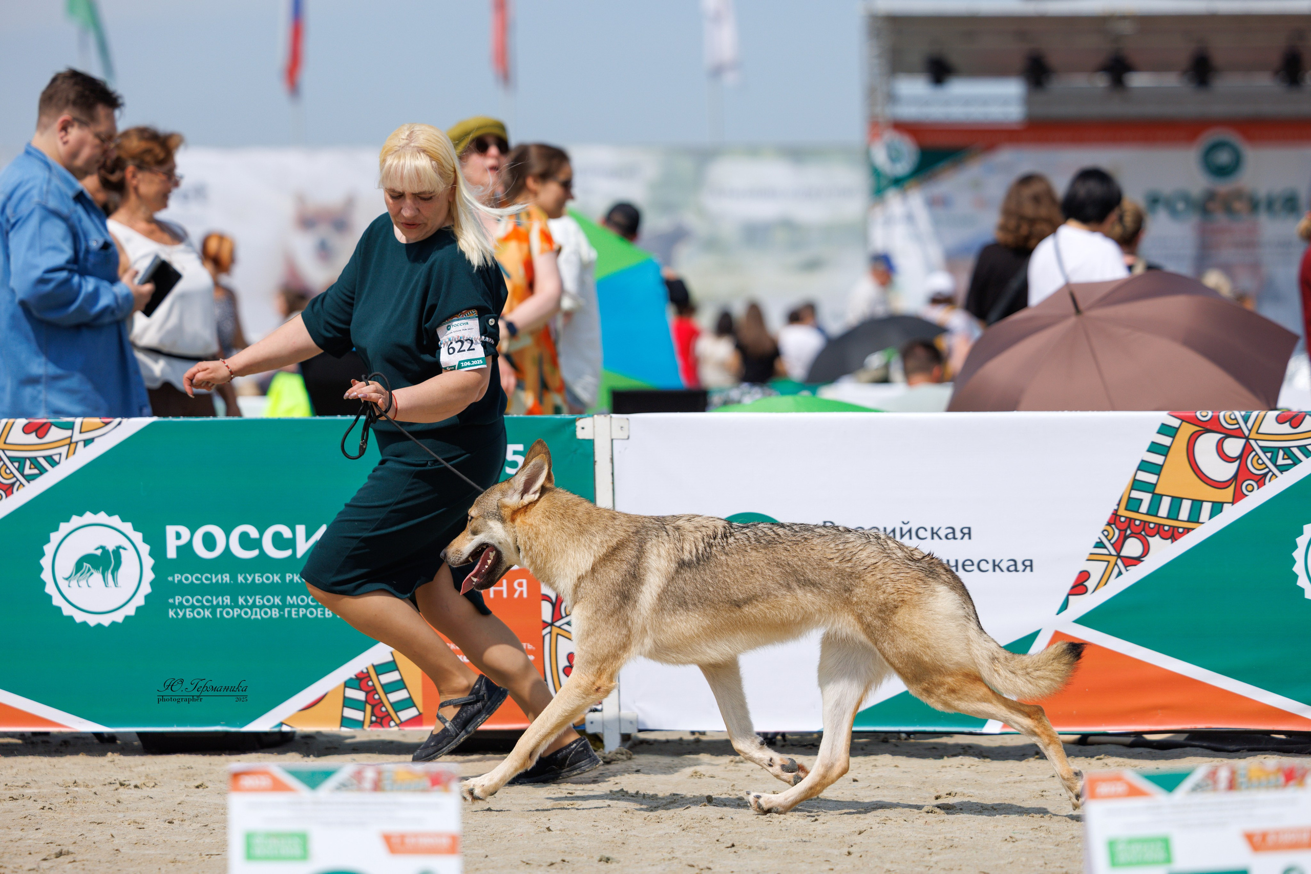 РОССИЯ 7-8.06.2025. Фотограф-анималист Юлия Германика