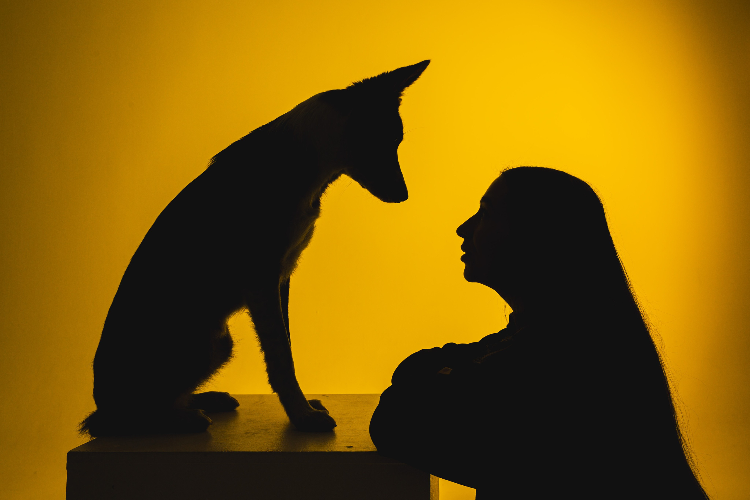 Воркшоп по импульсному свету