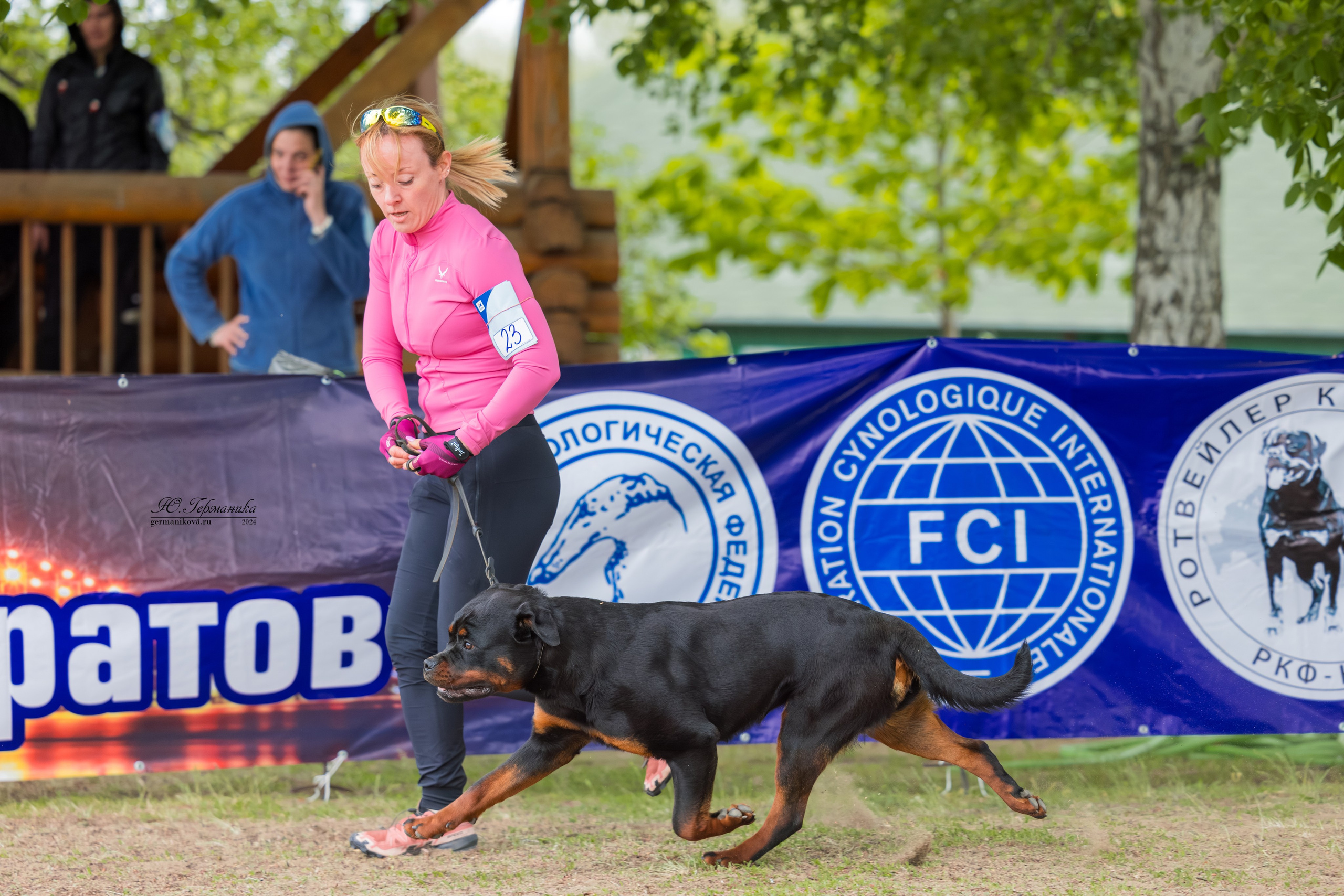 Саратов 2 х моно ротвейлеров 28-29.04.2024. Фотограф-анималист Юлия Германика
