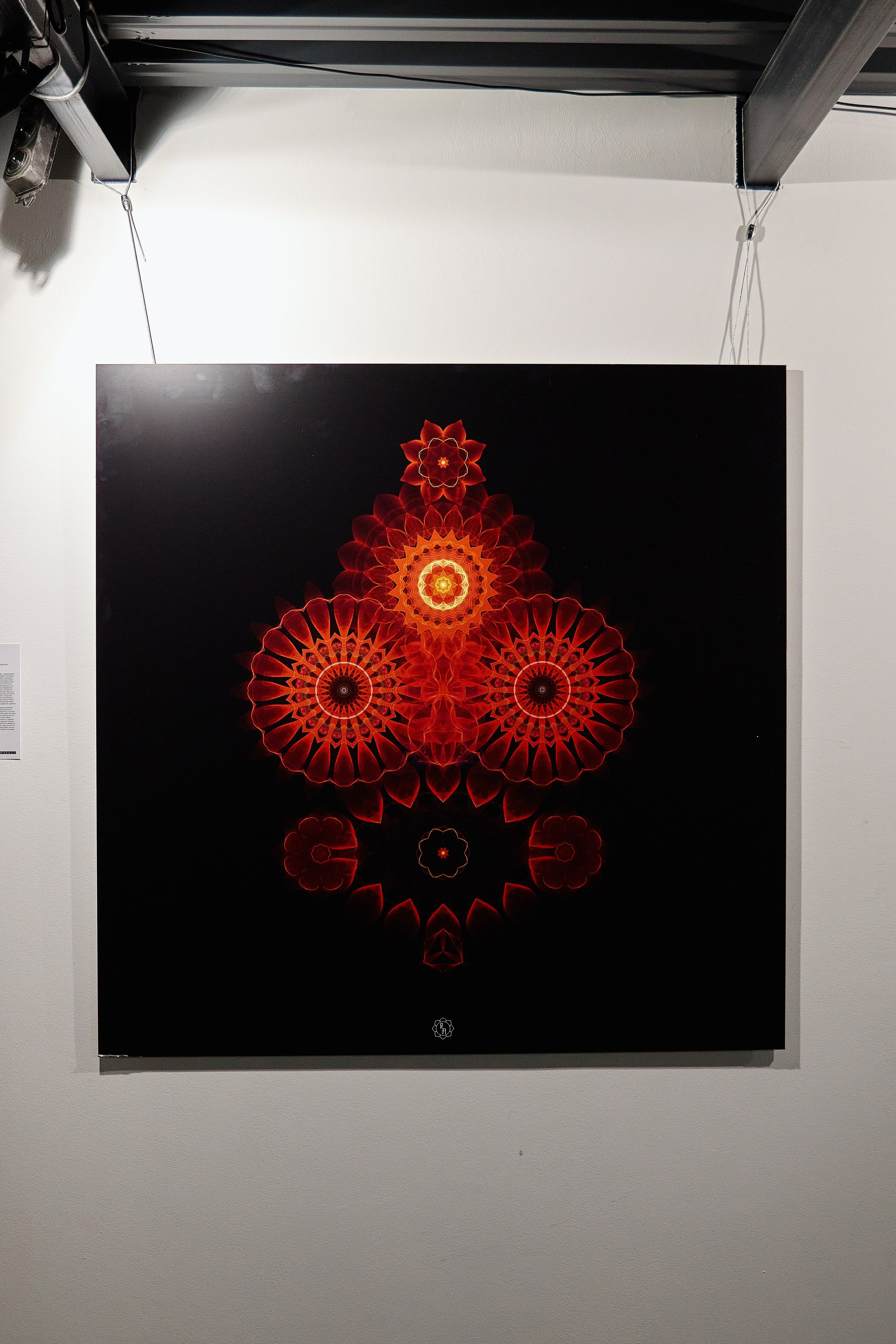 Parazitы в «Павильоне»? «Собака.ru» подарила Самаре биеннале. DENISOV ART (фото, видео, дизайн) САМАРА