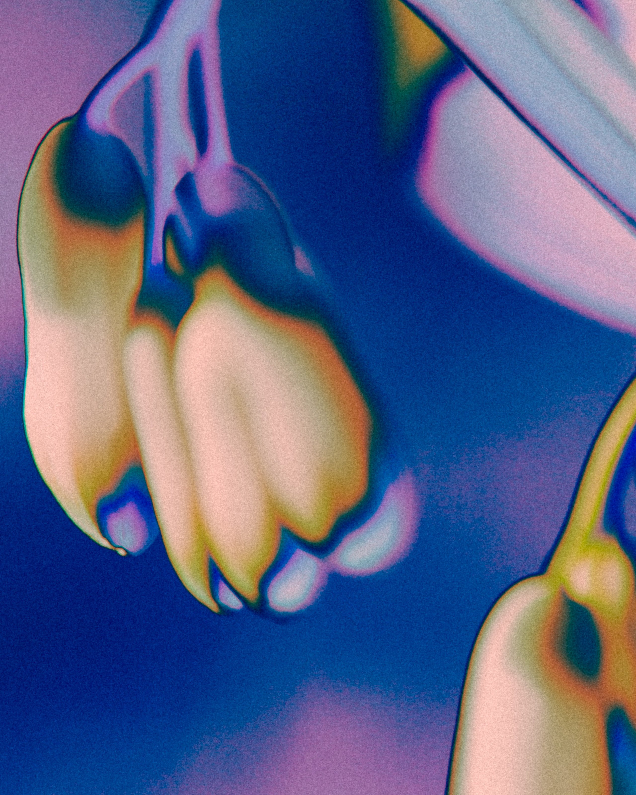 NON-EXISTENT FLOWERS. Фотограф Евгений Чащихин RGB АРХИТЕКТОР в Перми