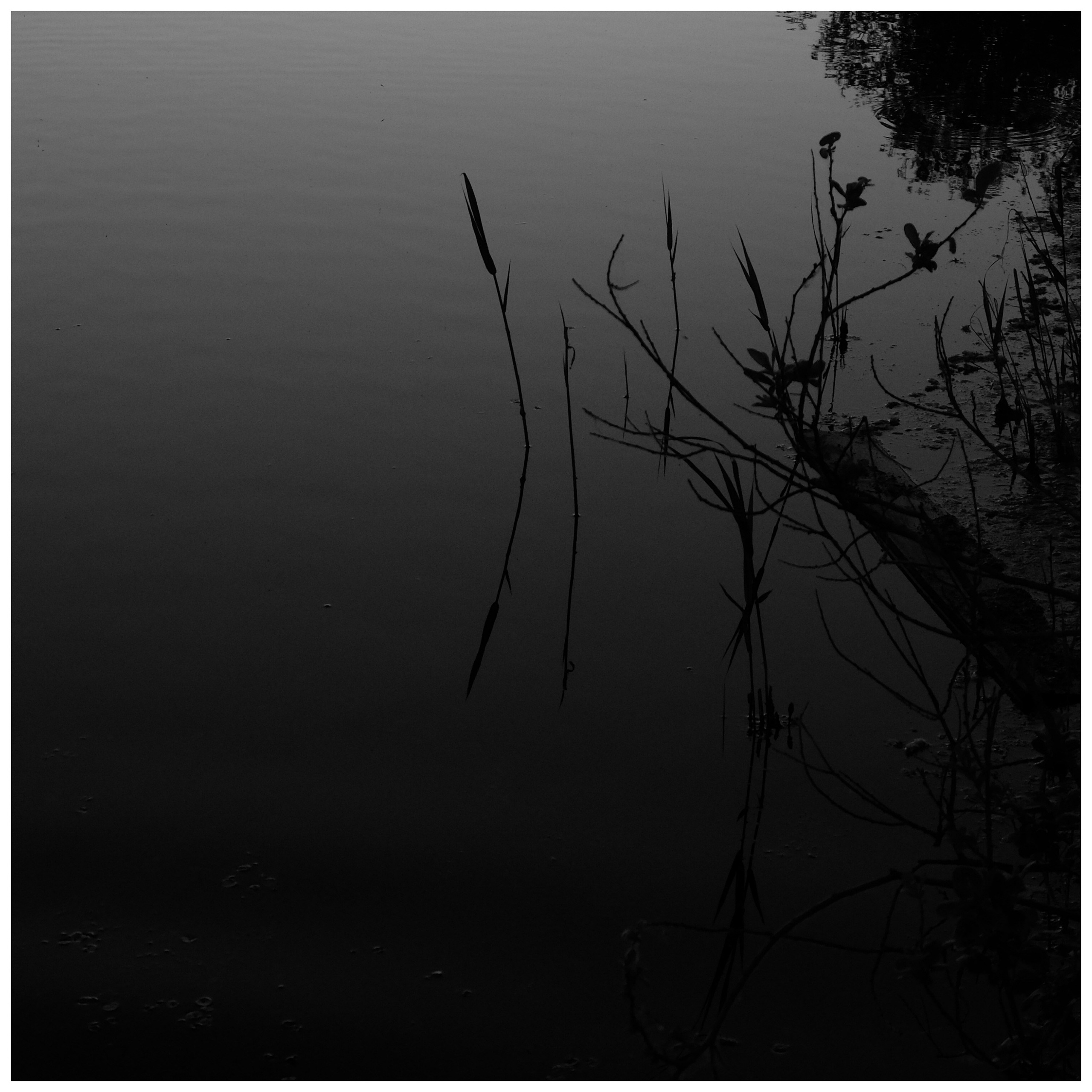 Промежуточные моменты (2022)