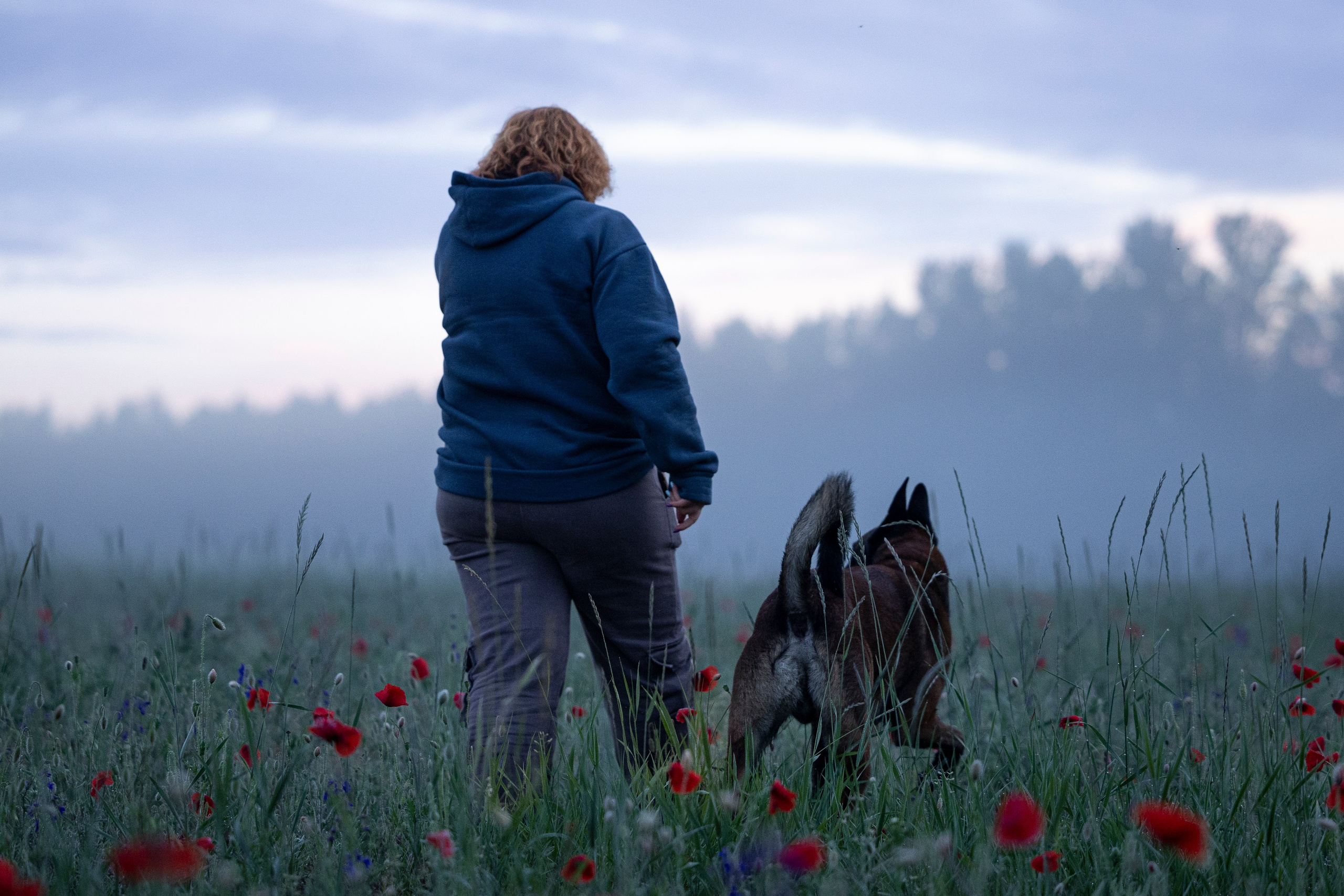 Маковое поле. Фотограф-анималист Анна Маринич