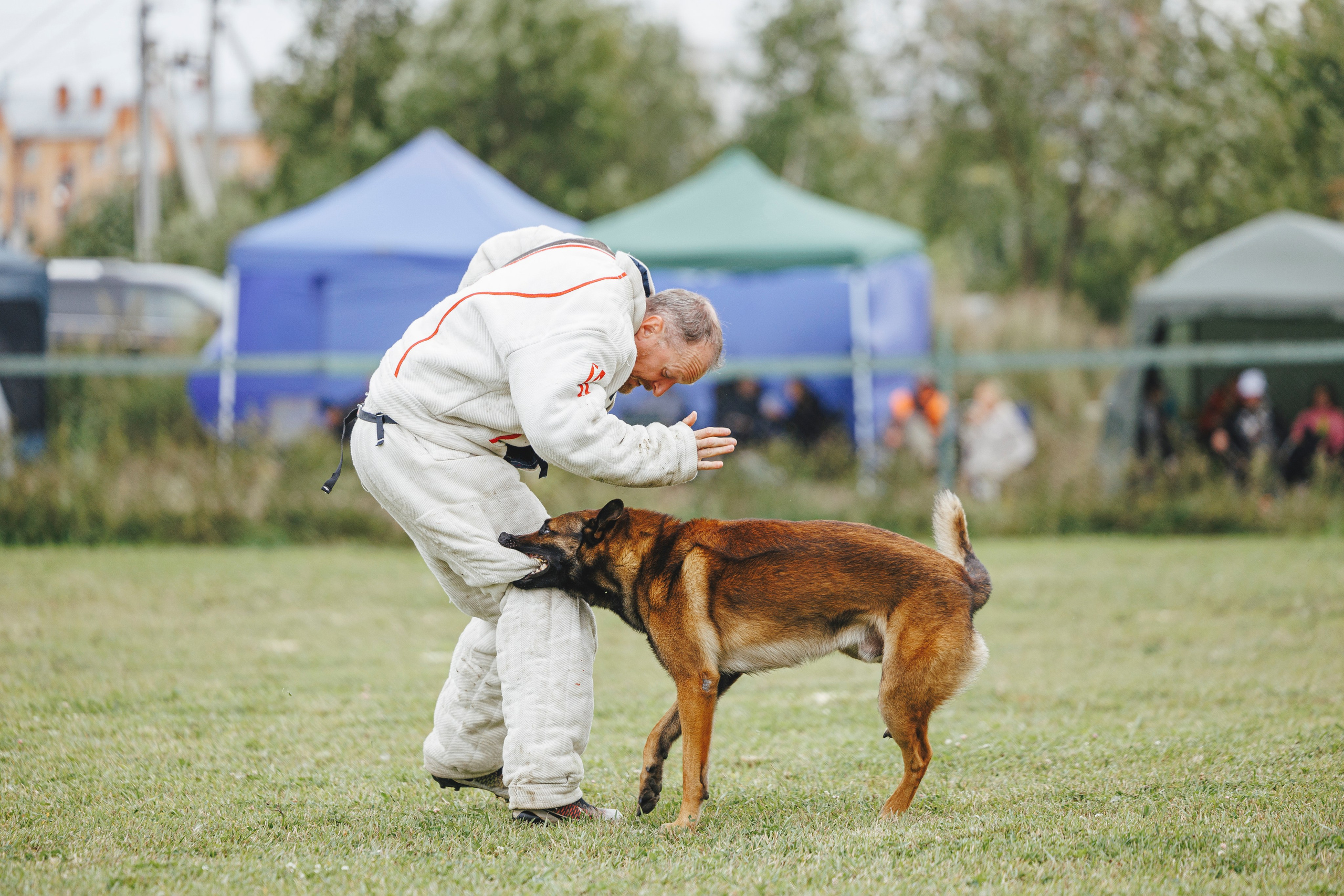 08.08.25-10.08.25 ЧР по мондьорингу г. Вологда. Фотограф-анималист Анна Маринич