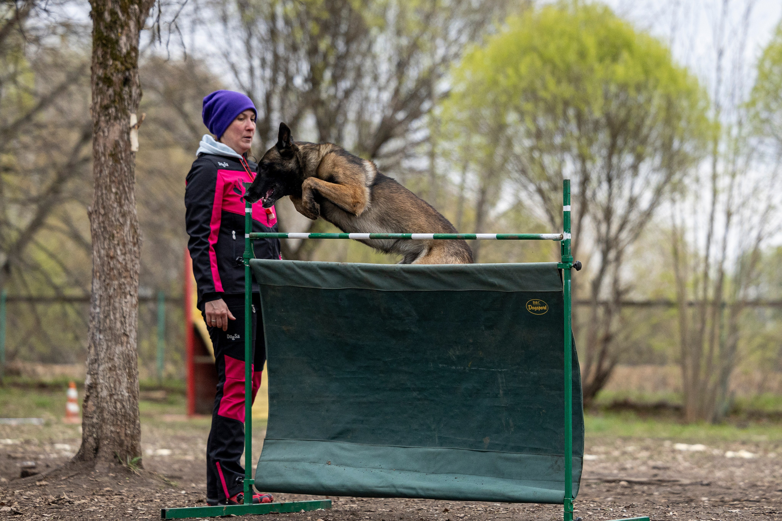 Квалификационные состязания по мондьорингу г. Вологда 11.05.24. Фотограф-анималист Анна Маринич