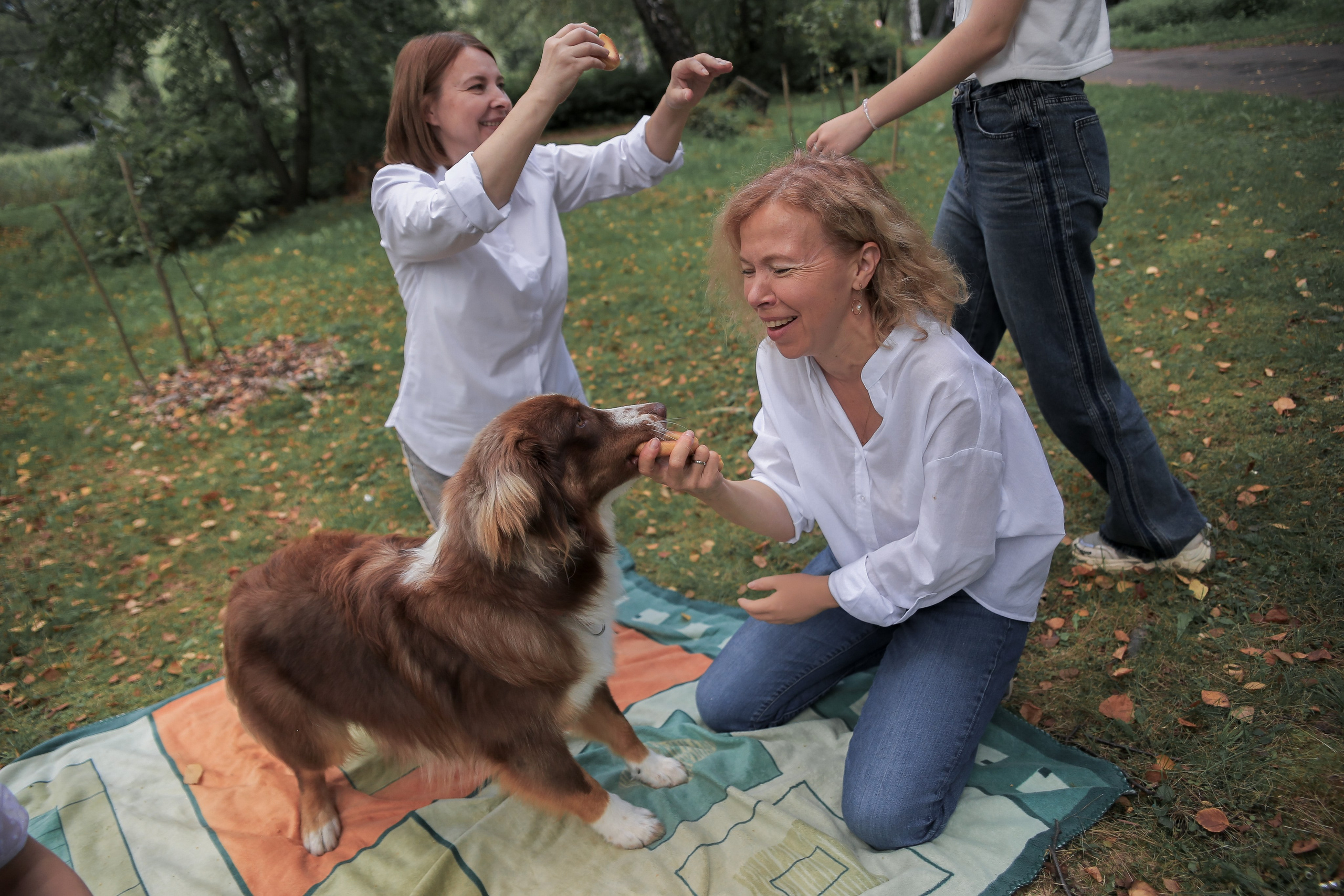 Семейная осенняя прогулка. Антонина Морозова, профессиональный семейный фотограф видеограф