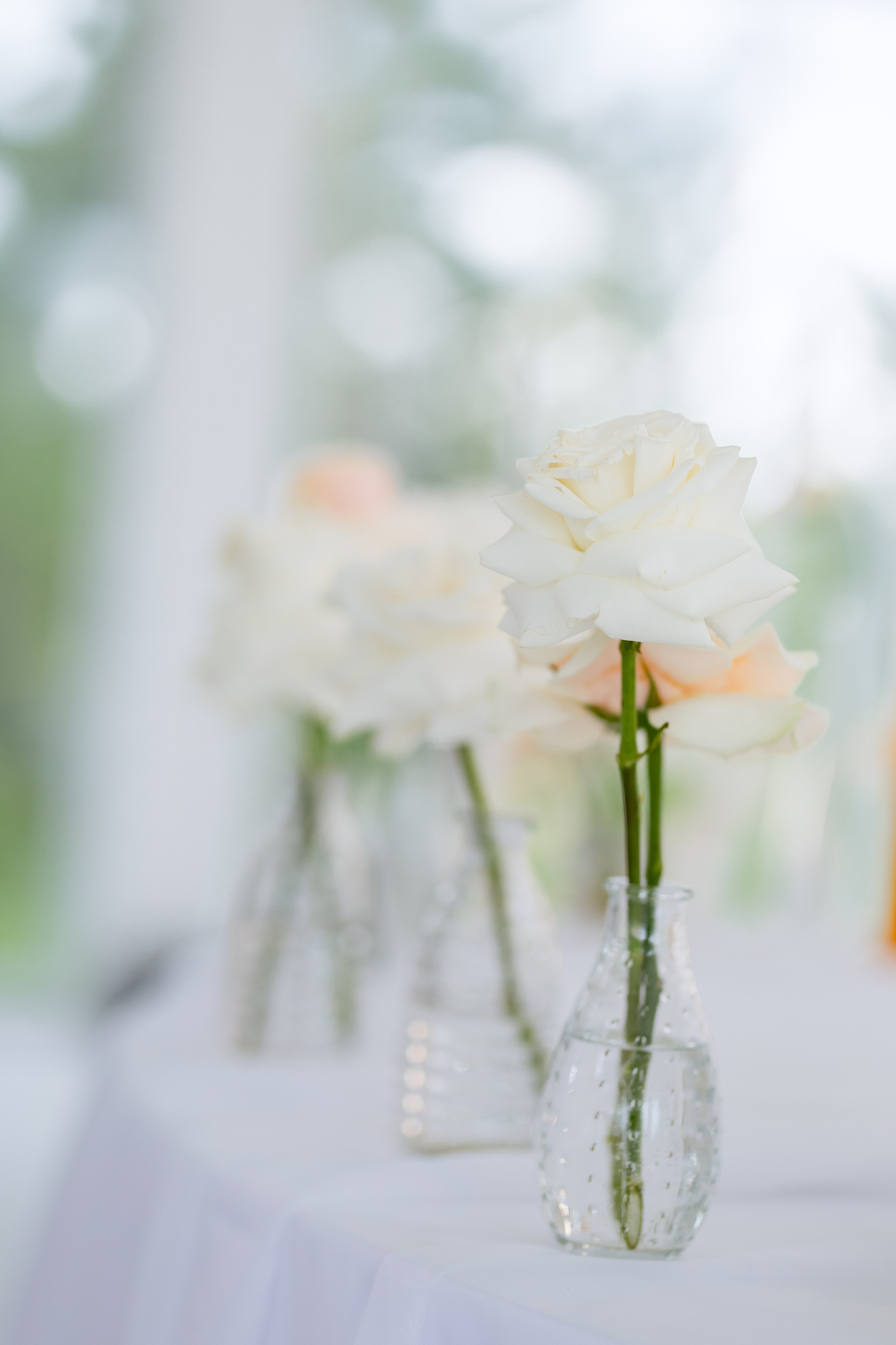 Виктория и Илья. Свадебный фотограф Витебск Минск