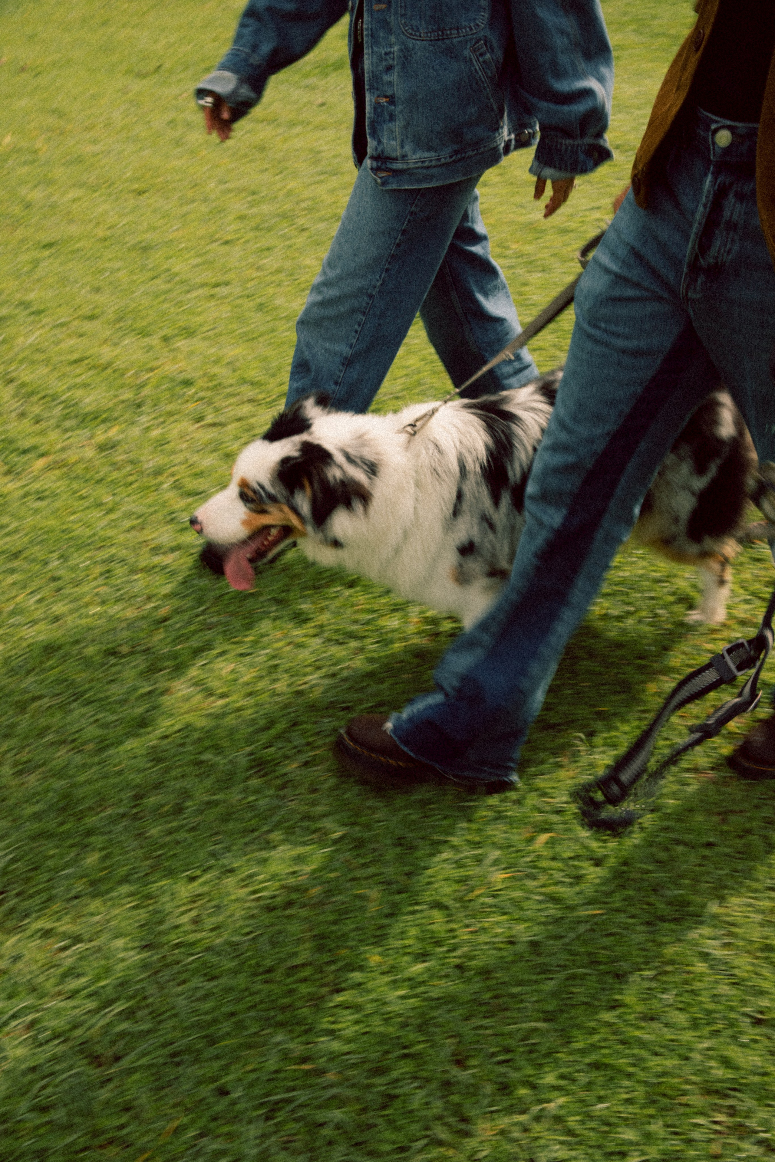 Andrea+Juliano+Uma. Портретный фотограф / Панама / Анастасия Елизарова