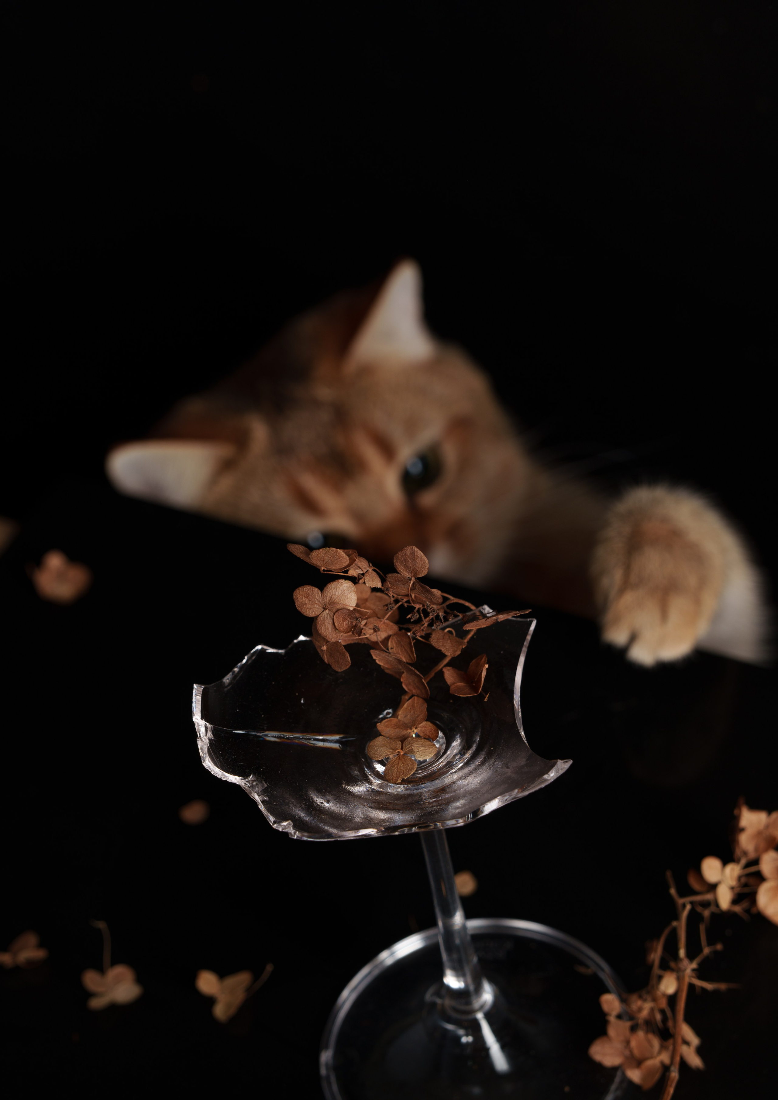 Предметка. Главная