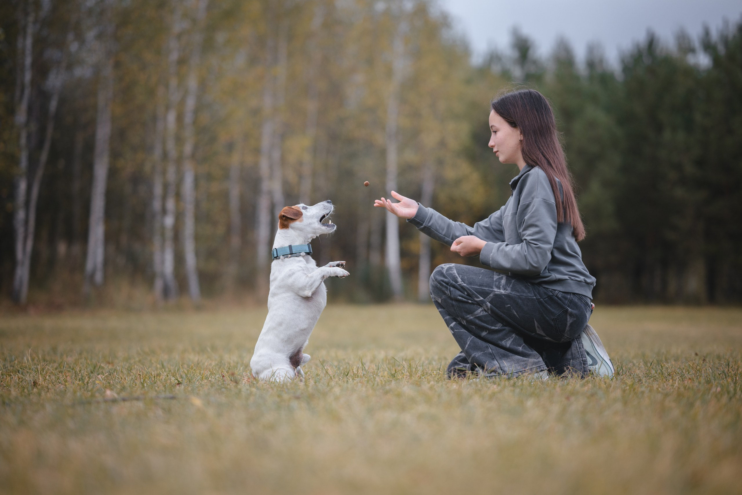 Юлиана и Риф. Фотограф Анималист в Москве Анастасия Жучкова