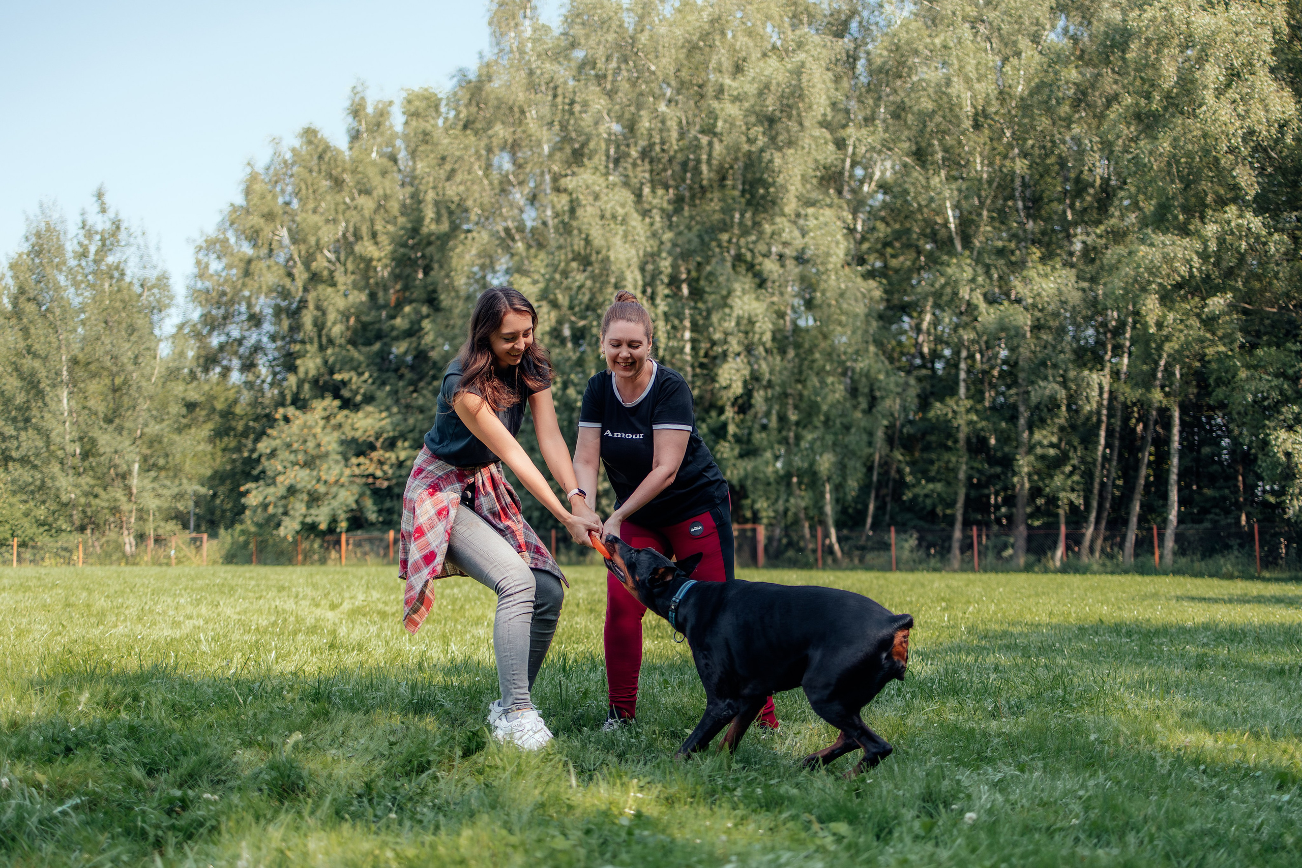 Доберман Айза. Фотограф Анималист в Москве Анастасия Жучкова