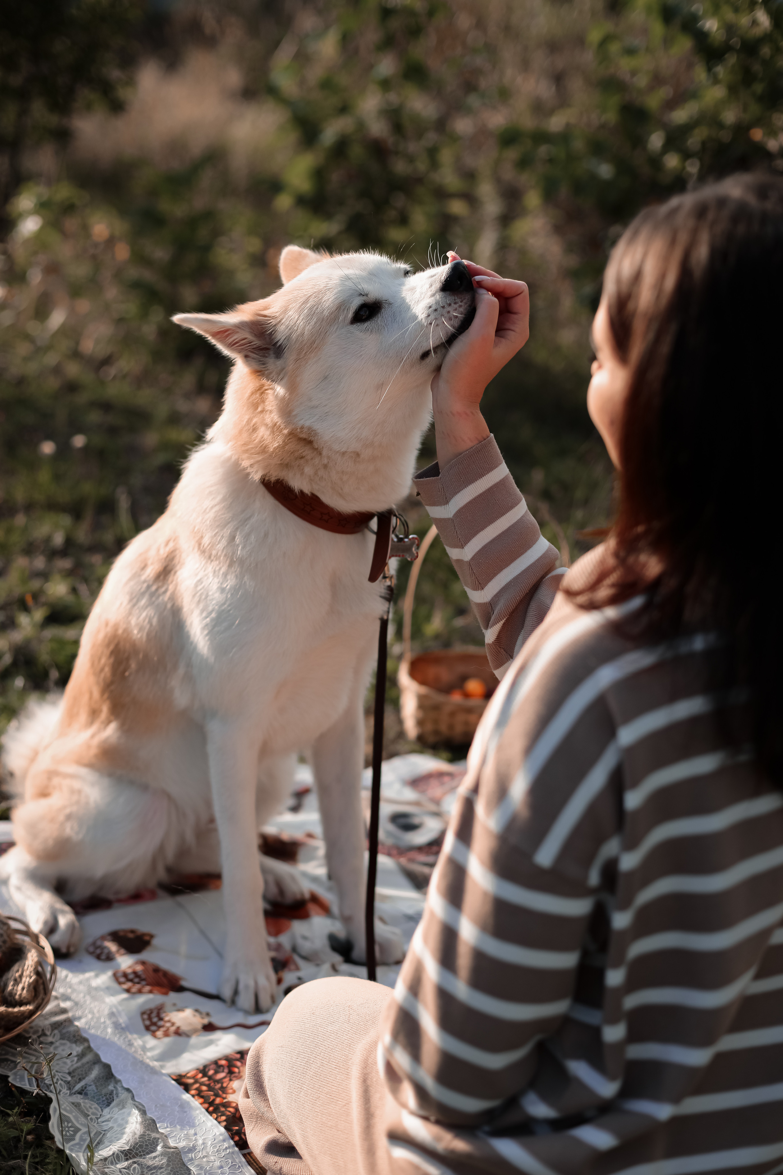 ОСЕННЯЯ ФОТОСЕССИЯ. Фотограф г. Хабаровск. Семейные и индивидуальные съёмки