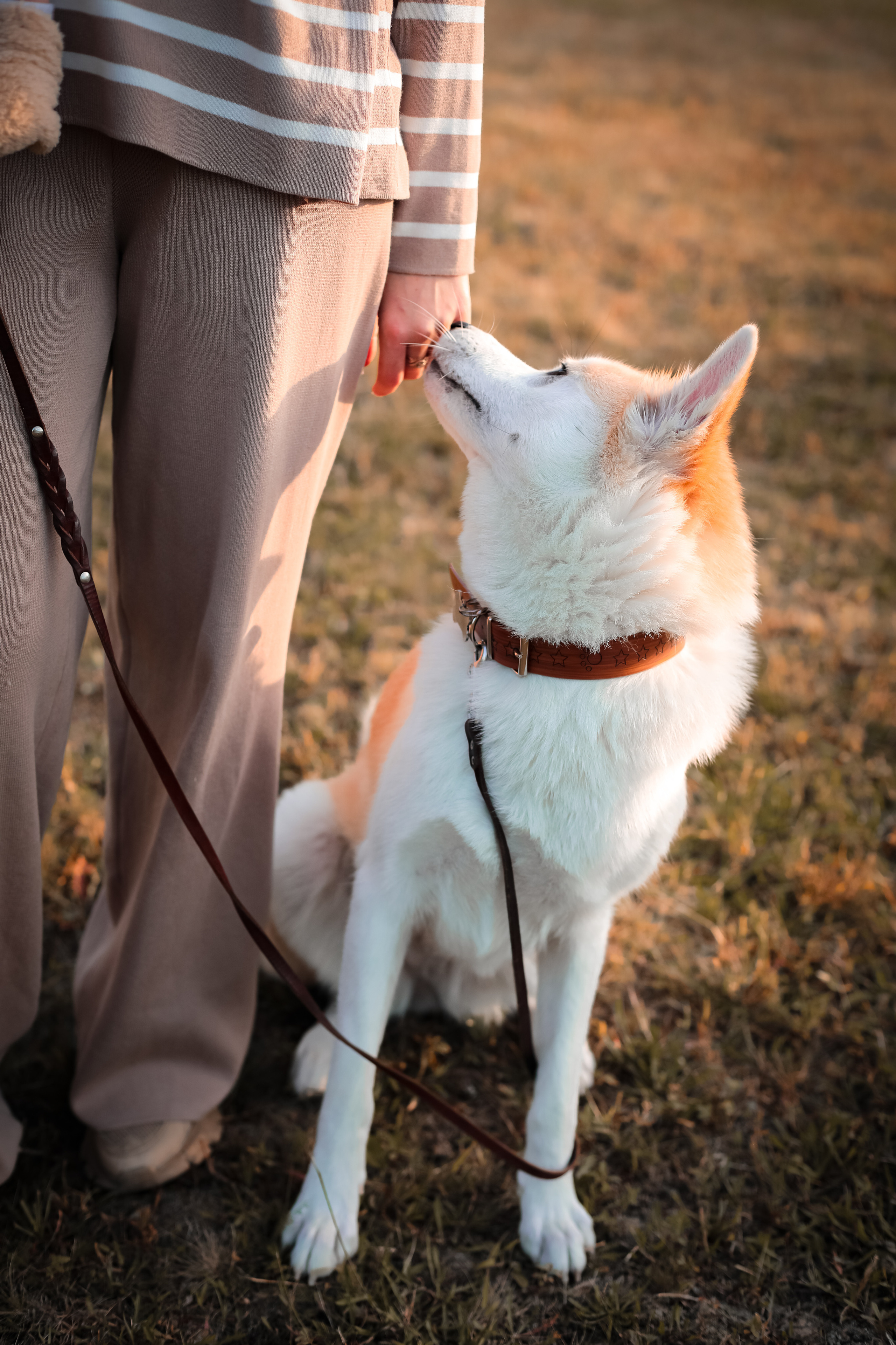 ОСЕННЯЯ ФОТОСЕССИЯ. Фотограф г. Хабаровск. Семейные и индивидуальные съёмки