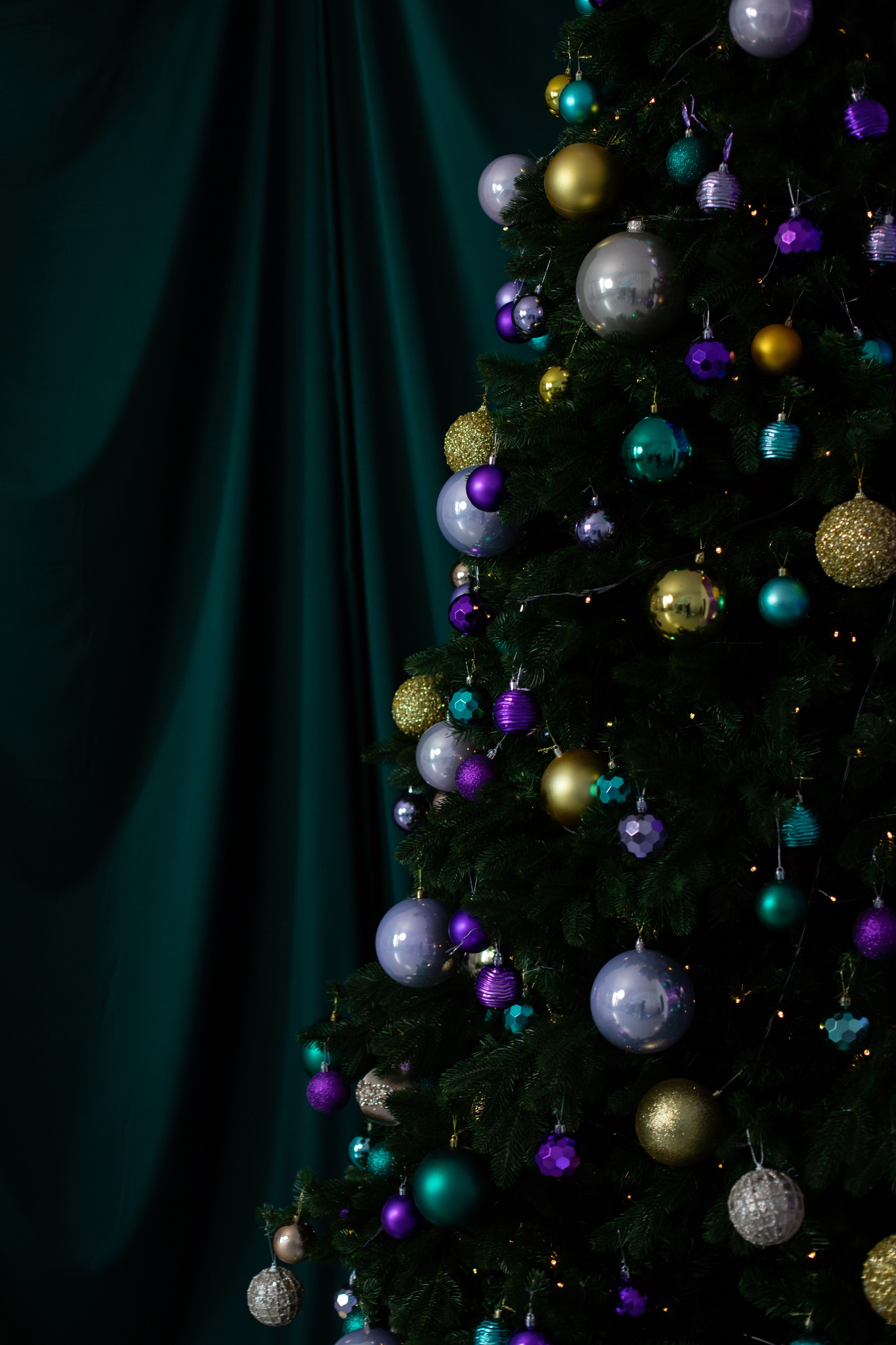 Светлый. Фотограф г. Хабаровск. Семейные и индивидуальные съёмки