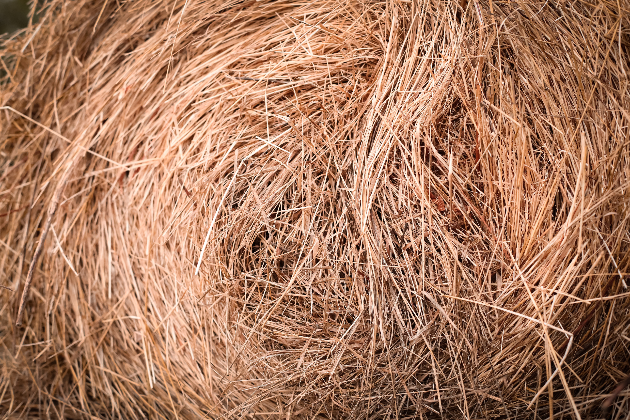 ОСЕННЯЯ ФОТОСЕССИЯ. Фотограф г. Хабаровск. Семейные и индивидуальные съёмки