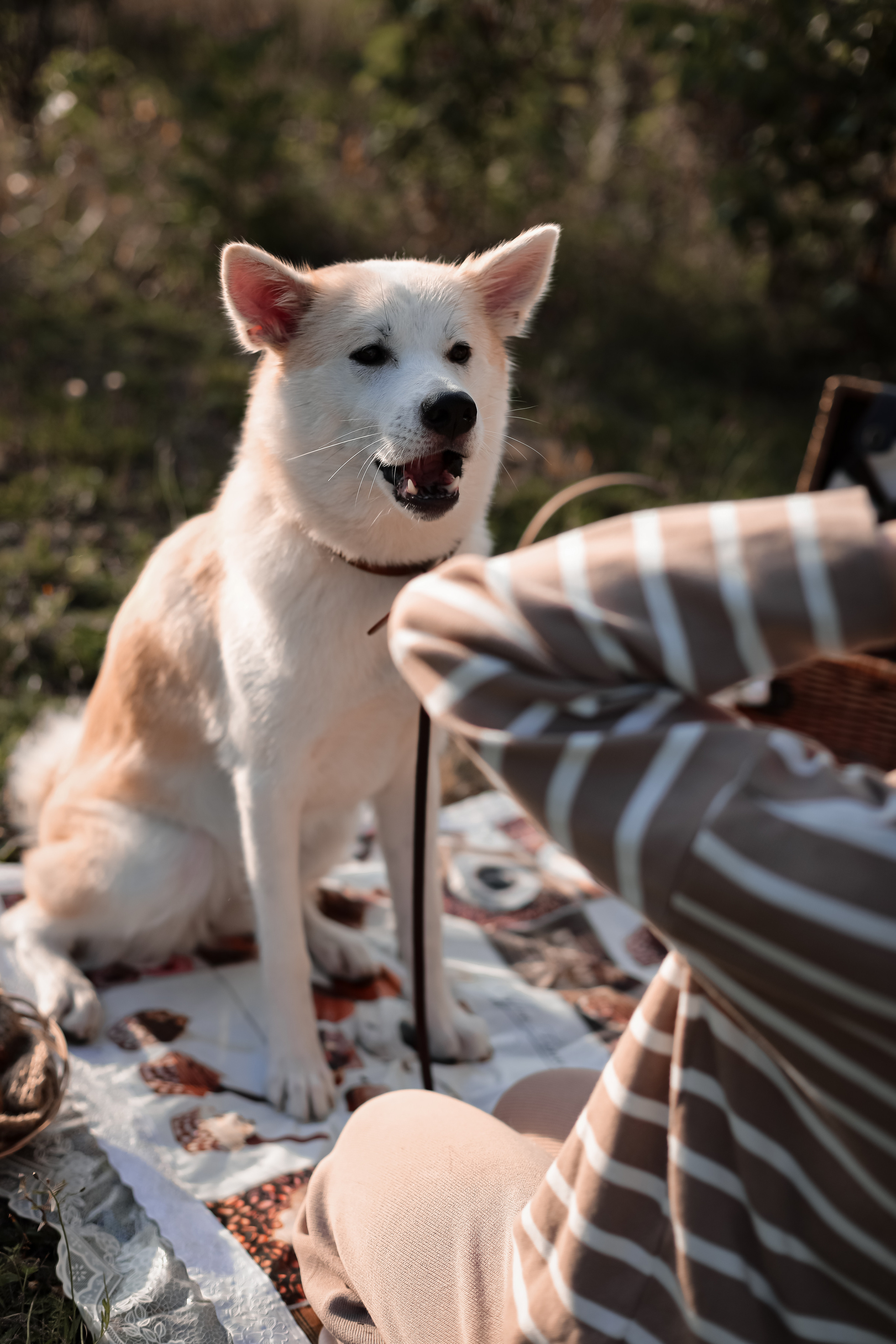 ОСЕННЯЯ ФОТОСЕССИЯ. Фотограф г. Хабаровск. Семейные и индивидуальные съёмки