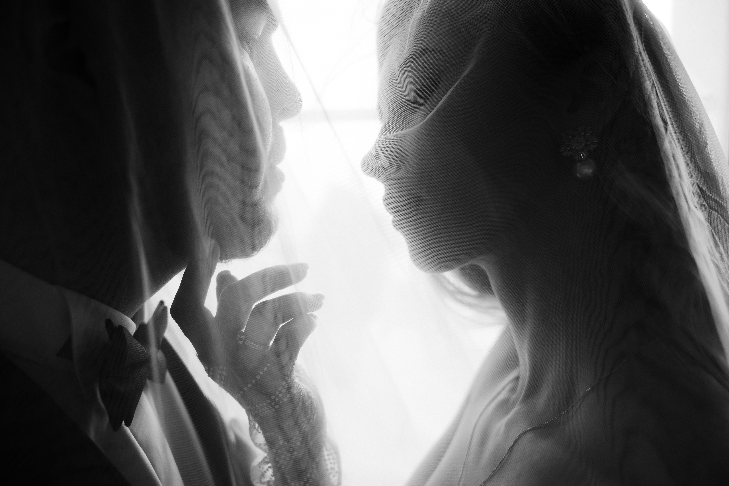 Astoria. VISUAL ARTIST · KRONGAUZ ANASTASIA