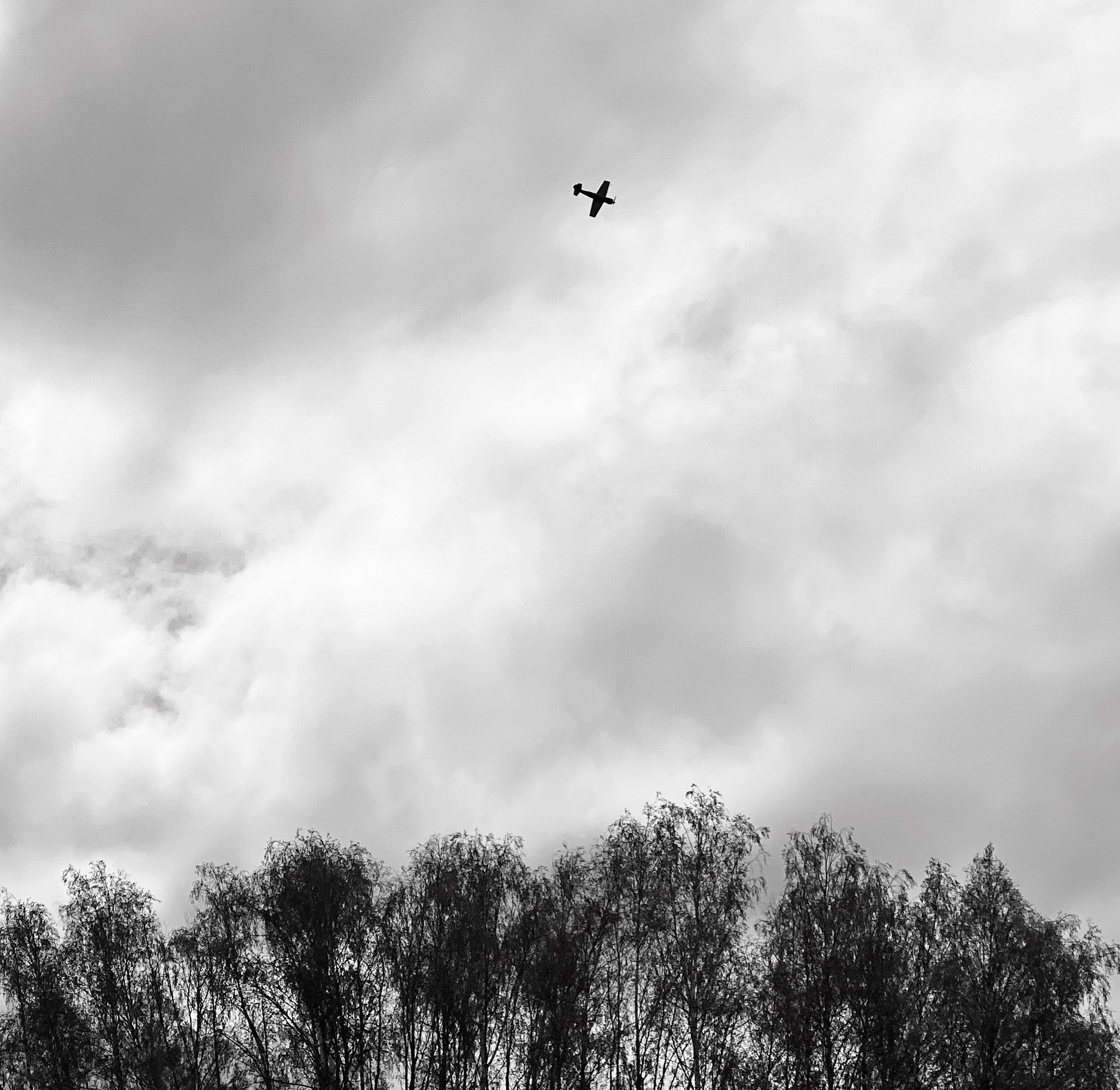 Работы с телефона. Свадебный фотограф в Москве Сафонова Анна