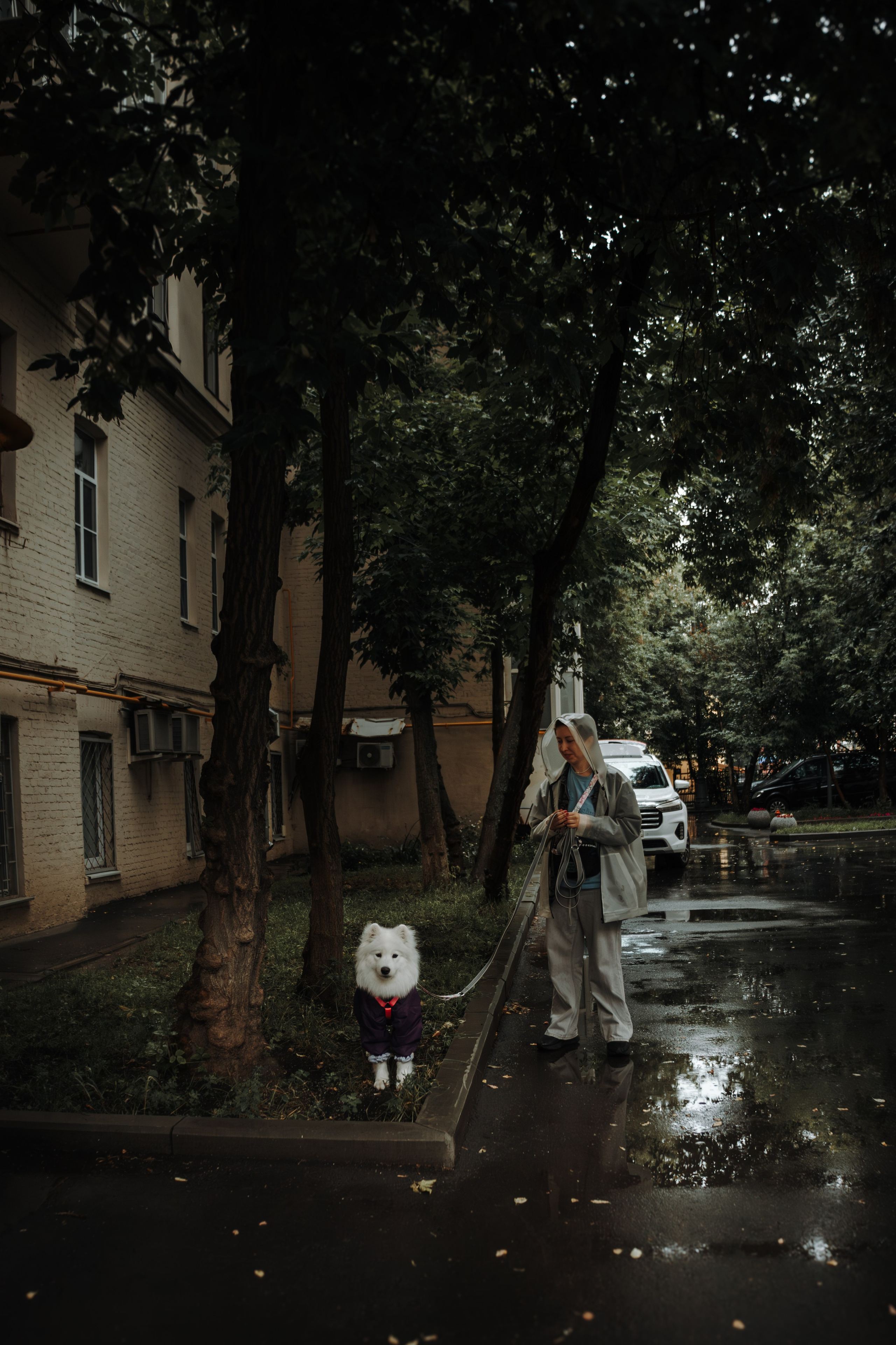 Домашняя фотосессия девушки с собакой и пара фото в дождливый день. Фотограф-анималист в Москве Екатерина Тихонова