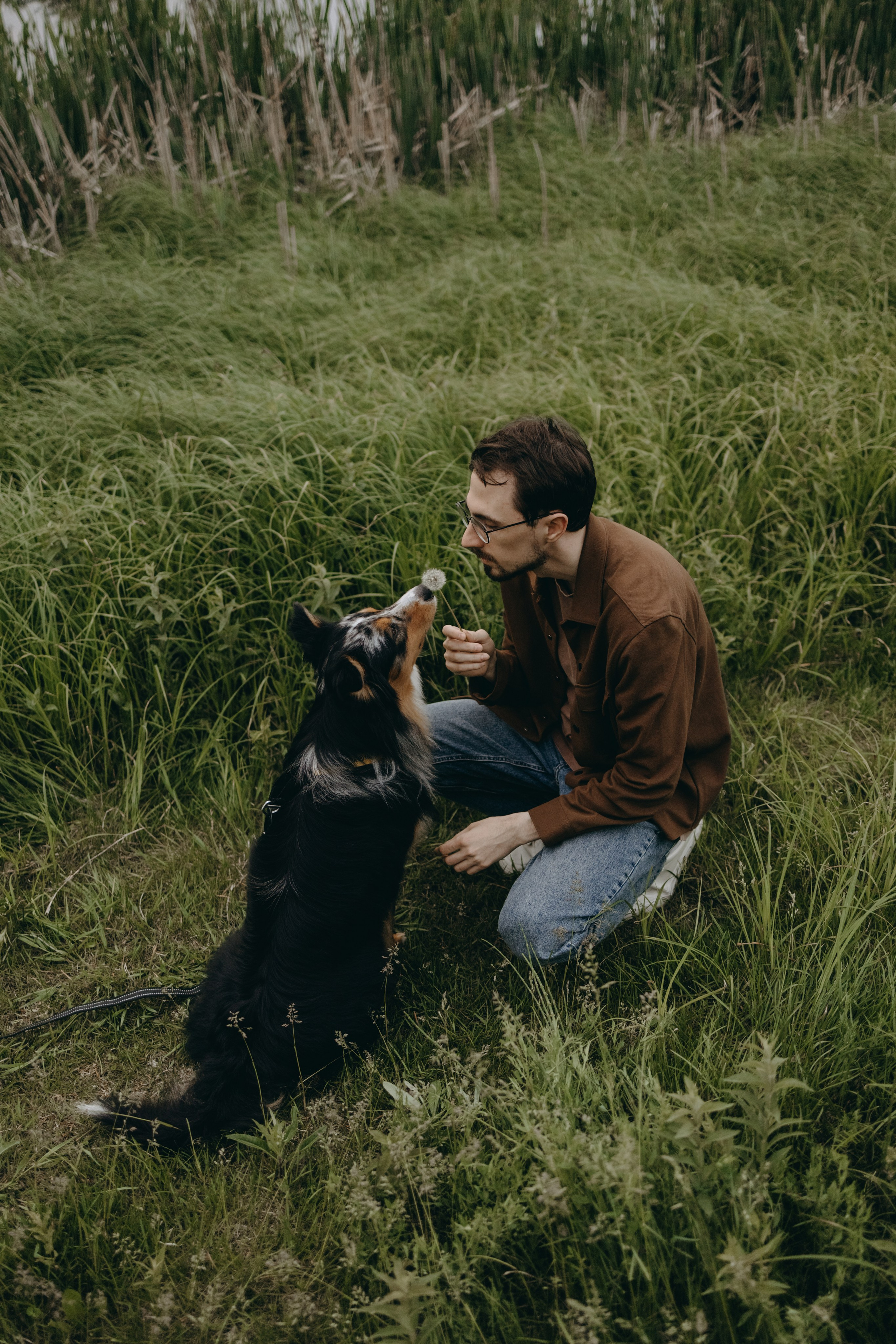 Настя, Никита и их Гром и Мяу. Фотограф — Анималист | Санкт-Петербург