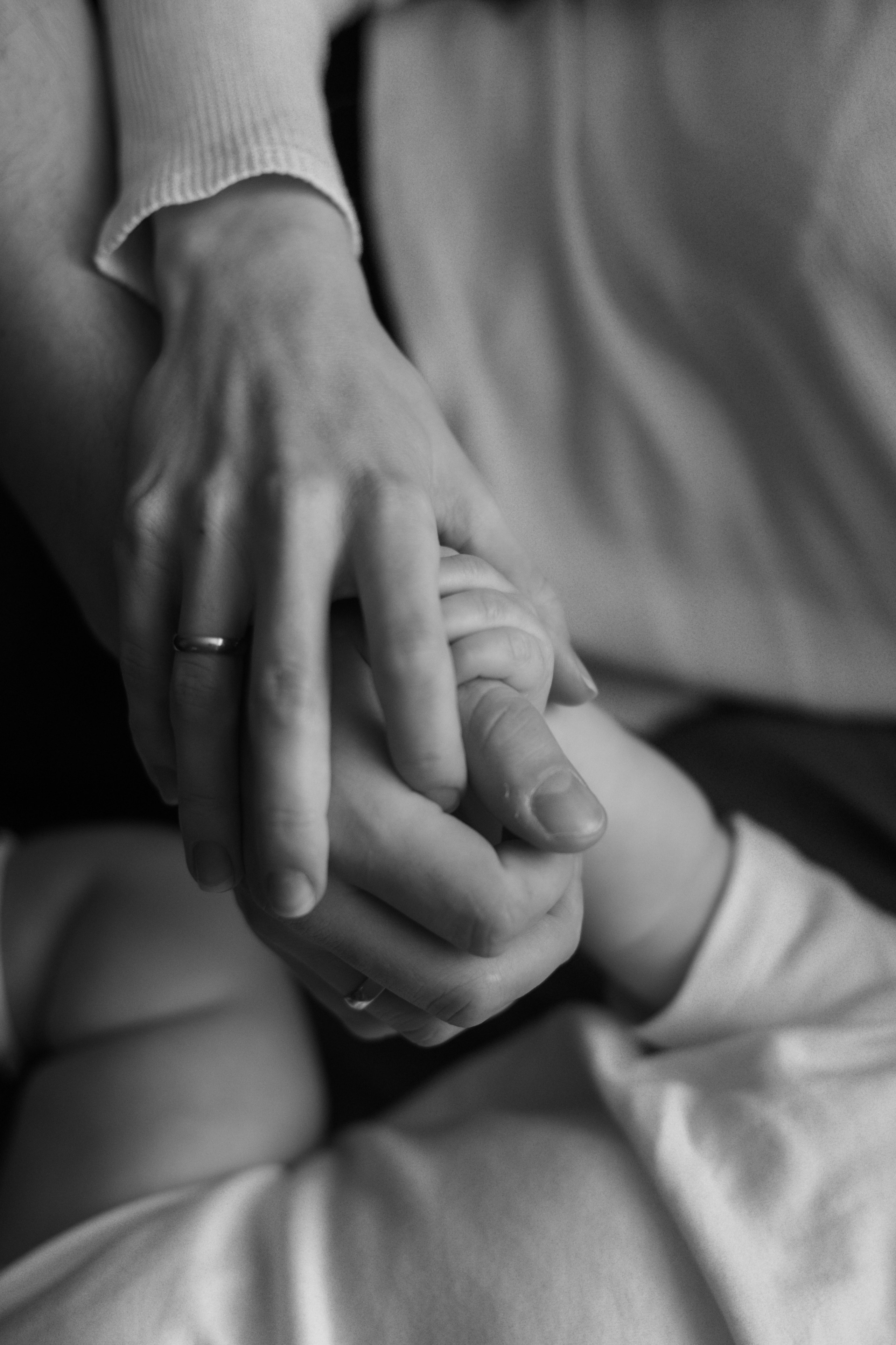 Джой и его семья. Фотограф — Анималист | Санкт-Петербург