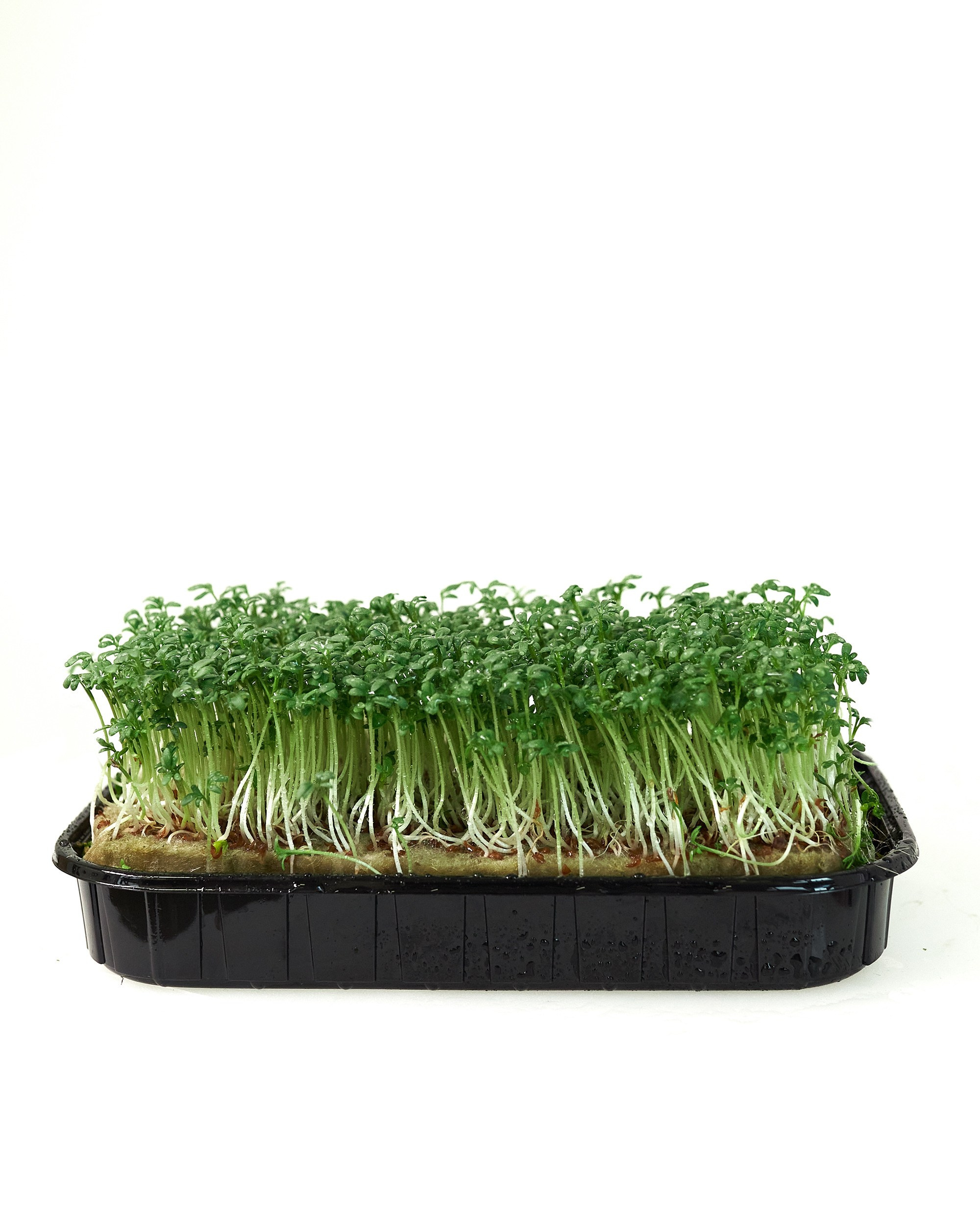 Фуд фото. Фотограф и оператор мероприятий, концертов и портретов в городе Москва