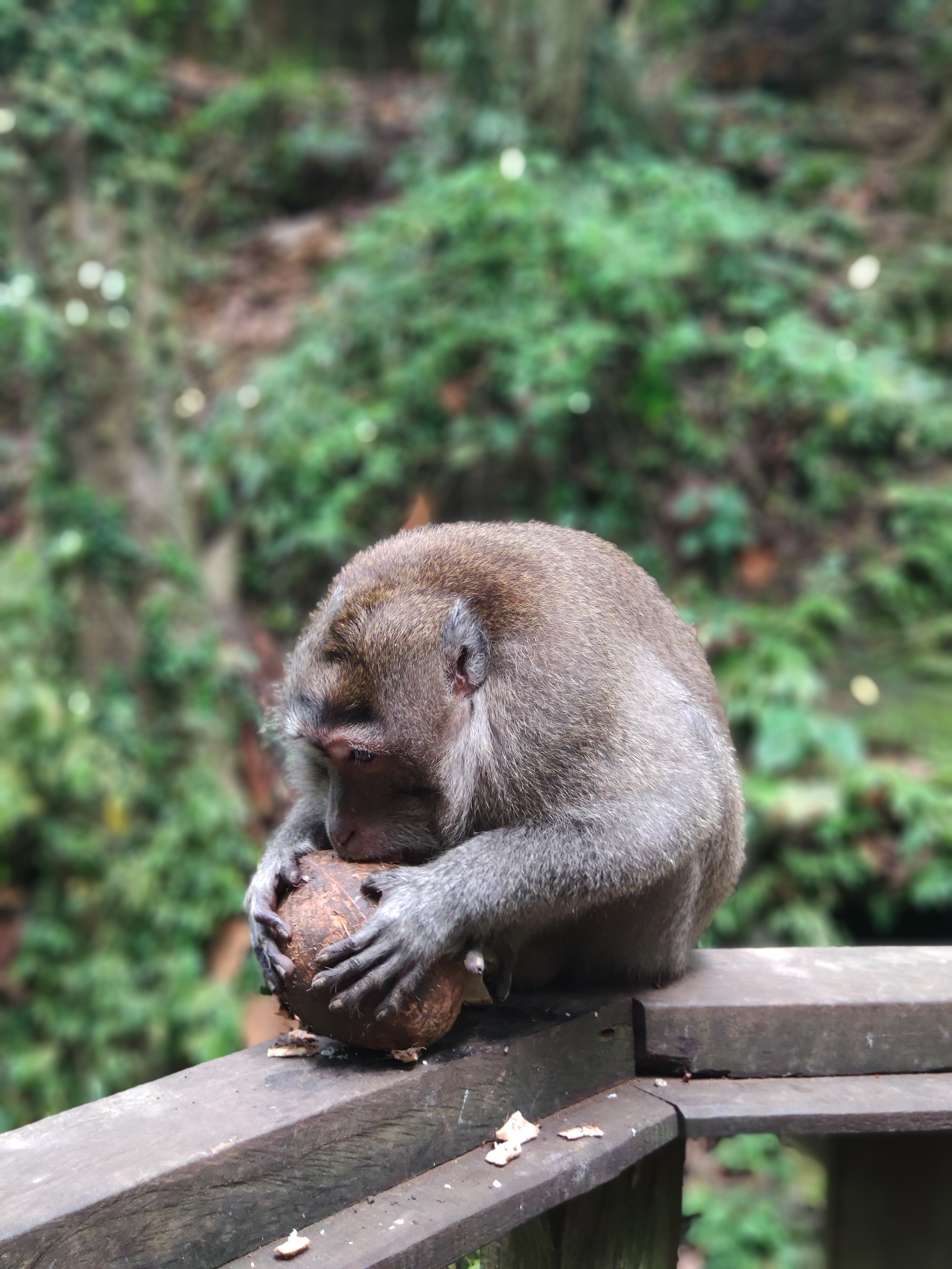 Indonesia (Bali Island). Фотограф Алексей Федорищев