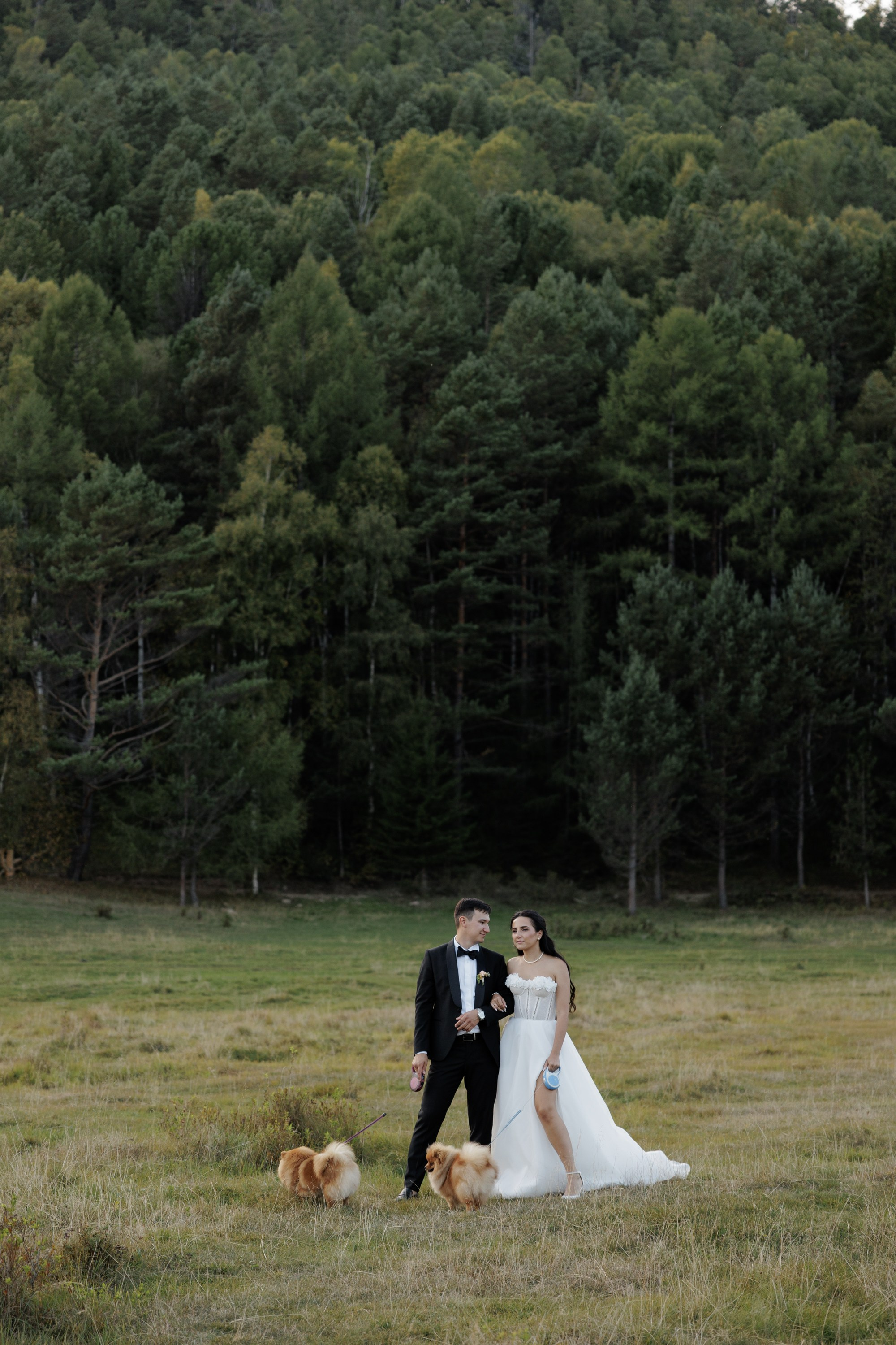 Свадьбы. Свадебный фотограф