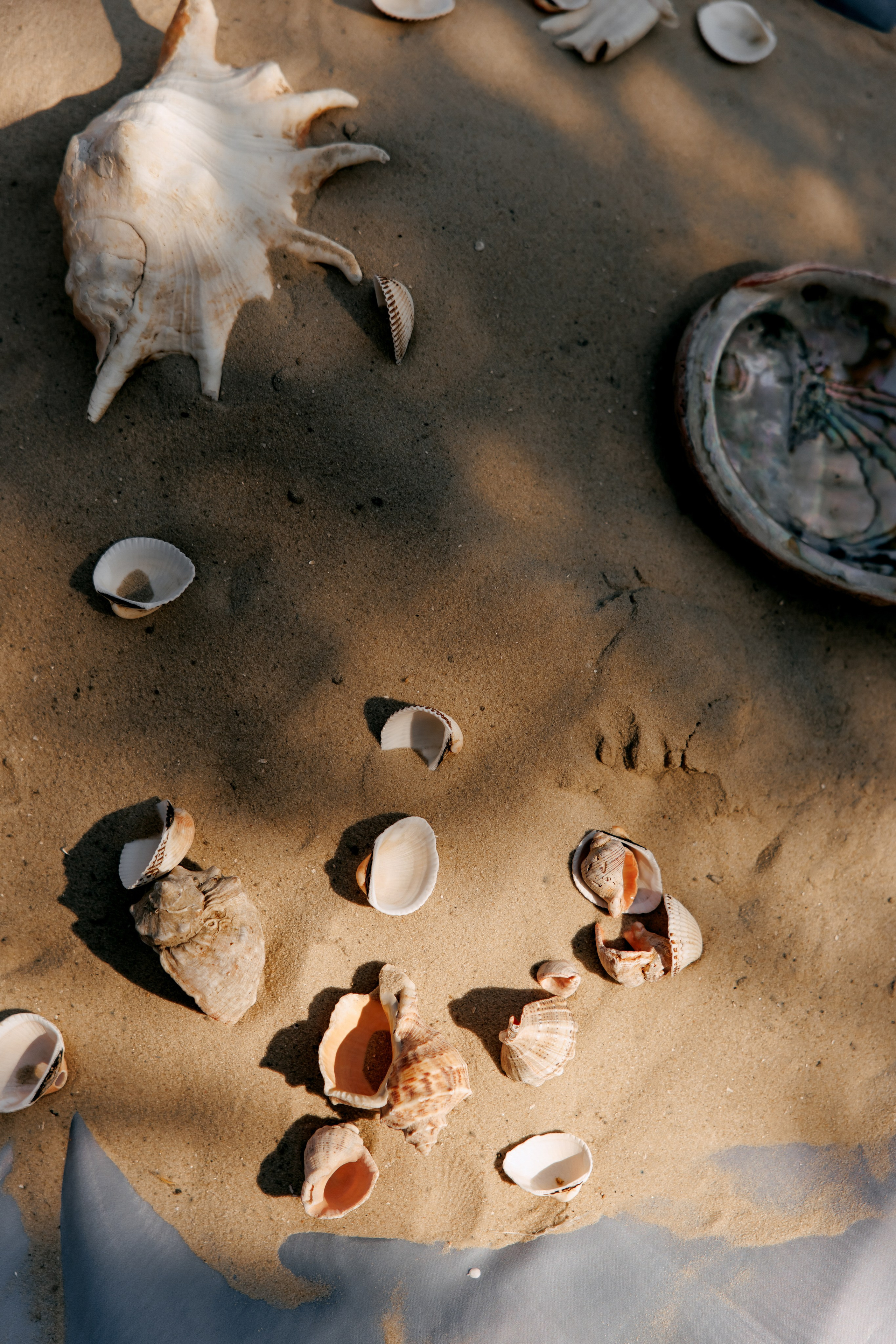 ME2ME. Wedding and Reportage photographer Marmarov Christya