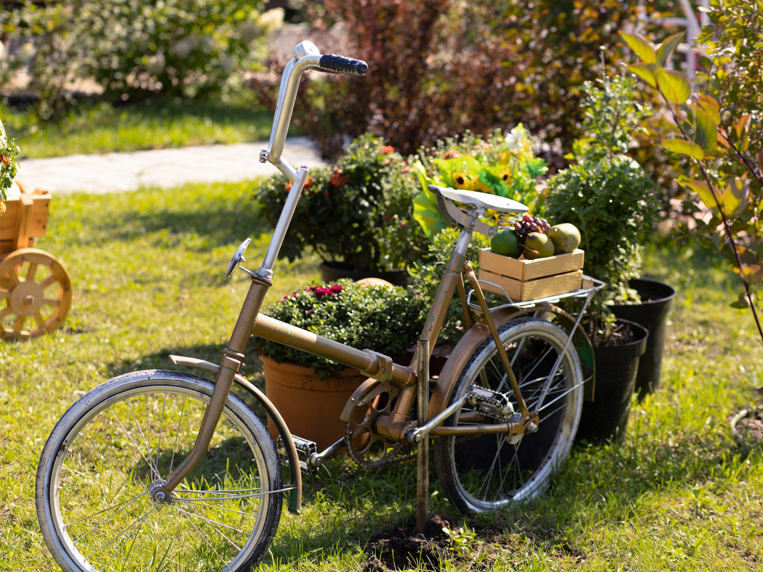 Парк-заповедник Купидон. Семейный фотограф в Димитровграде Елена Патрушева