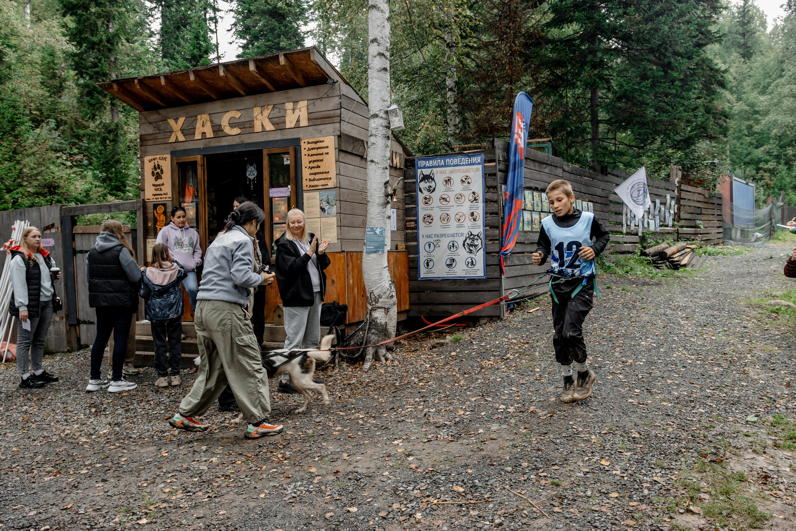 Дог-треккинг