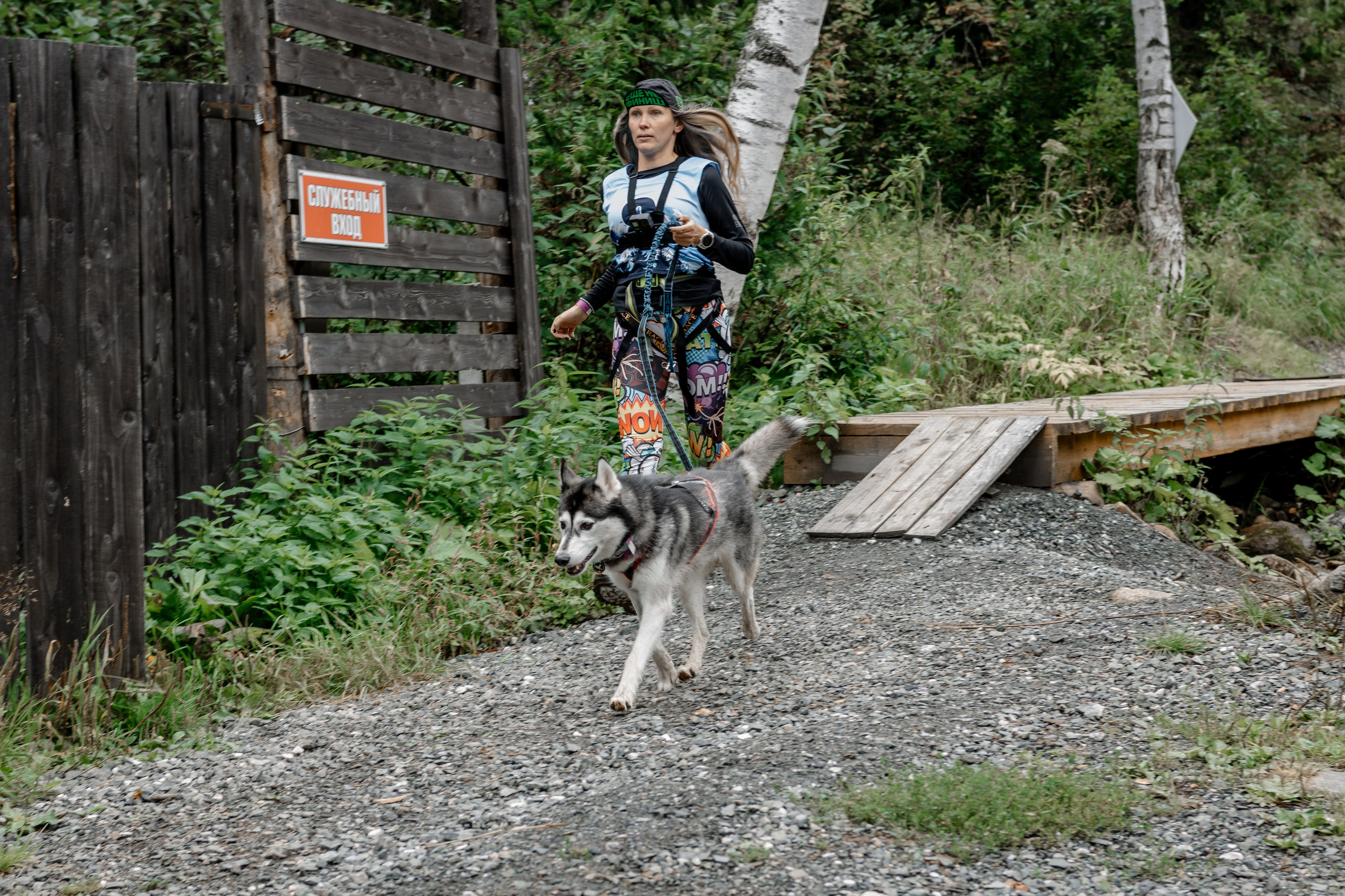Дог-треккинг