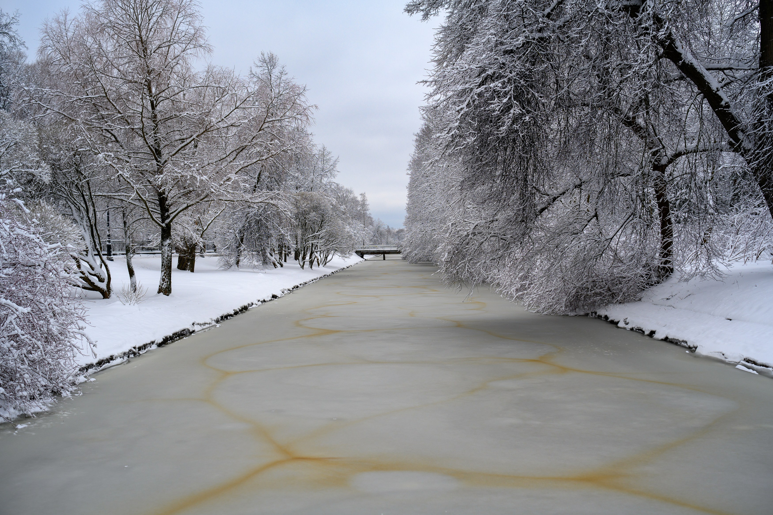 Landscape, nature, plants, details of the world around us. Personal website of photographer Dmitry Raikin