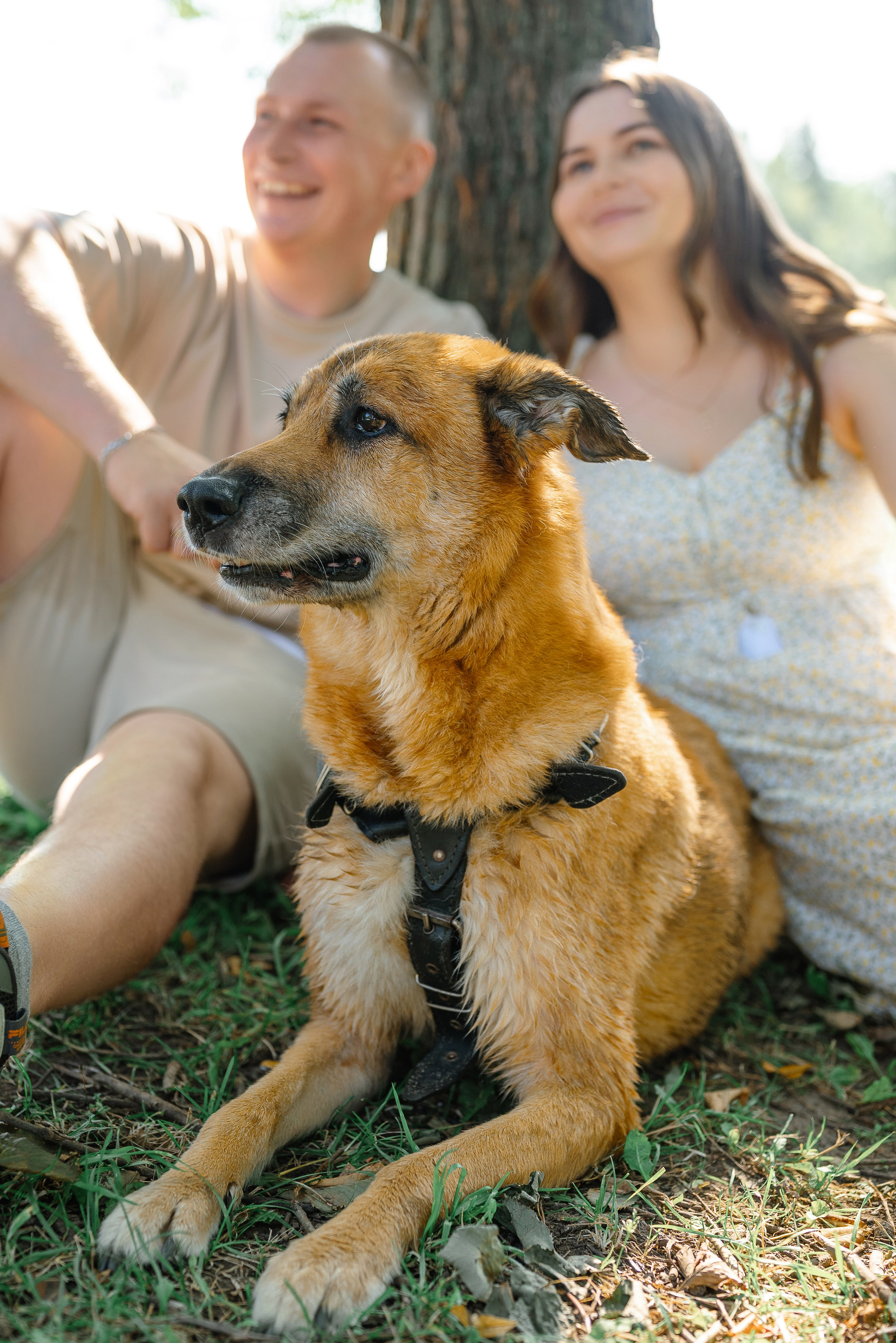 Лавстори. Дарья Медведева