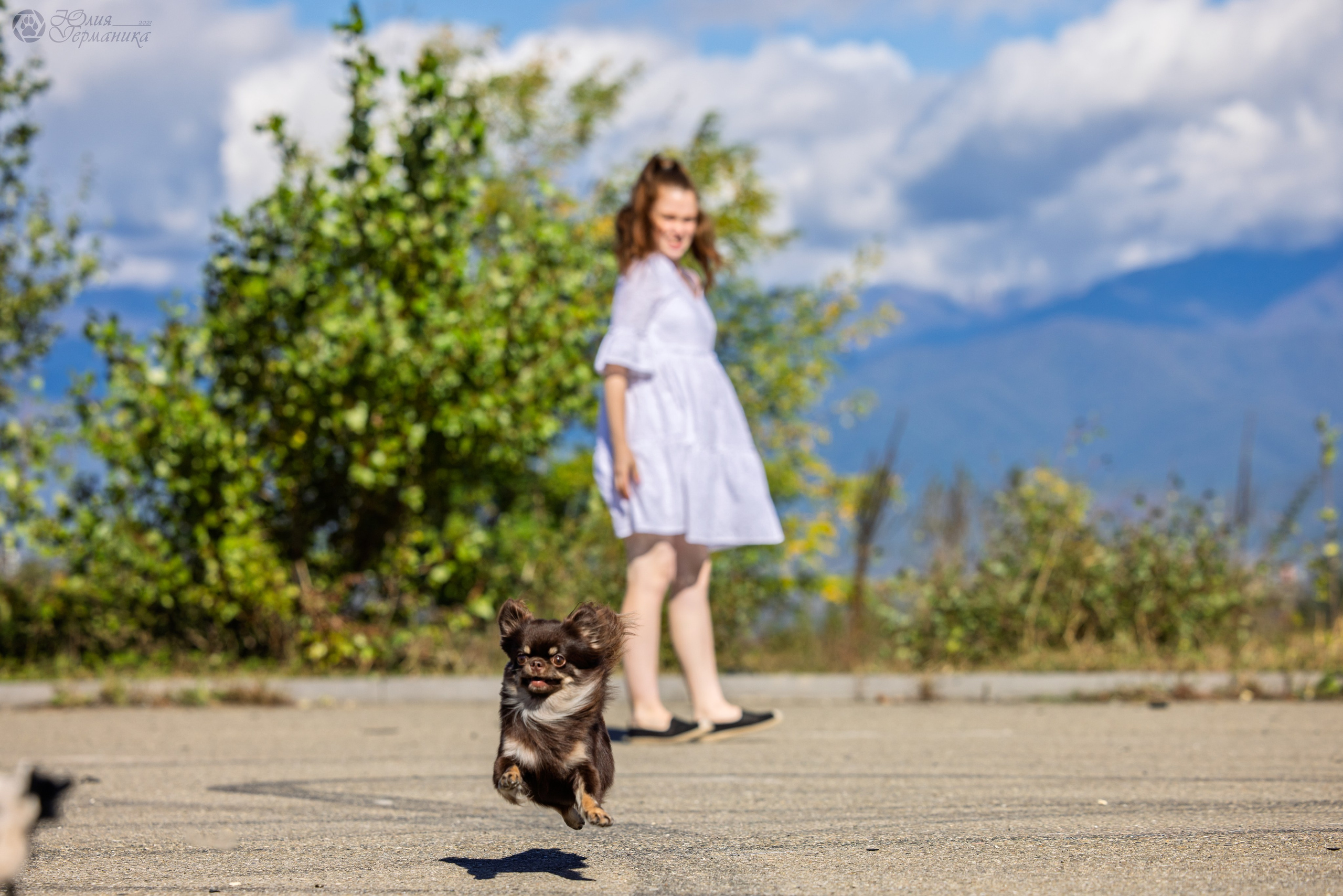 Грузия,Телави 2хCACIB 19-20.10.2024. Фотограф-анималист Юлия Германика