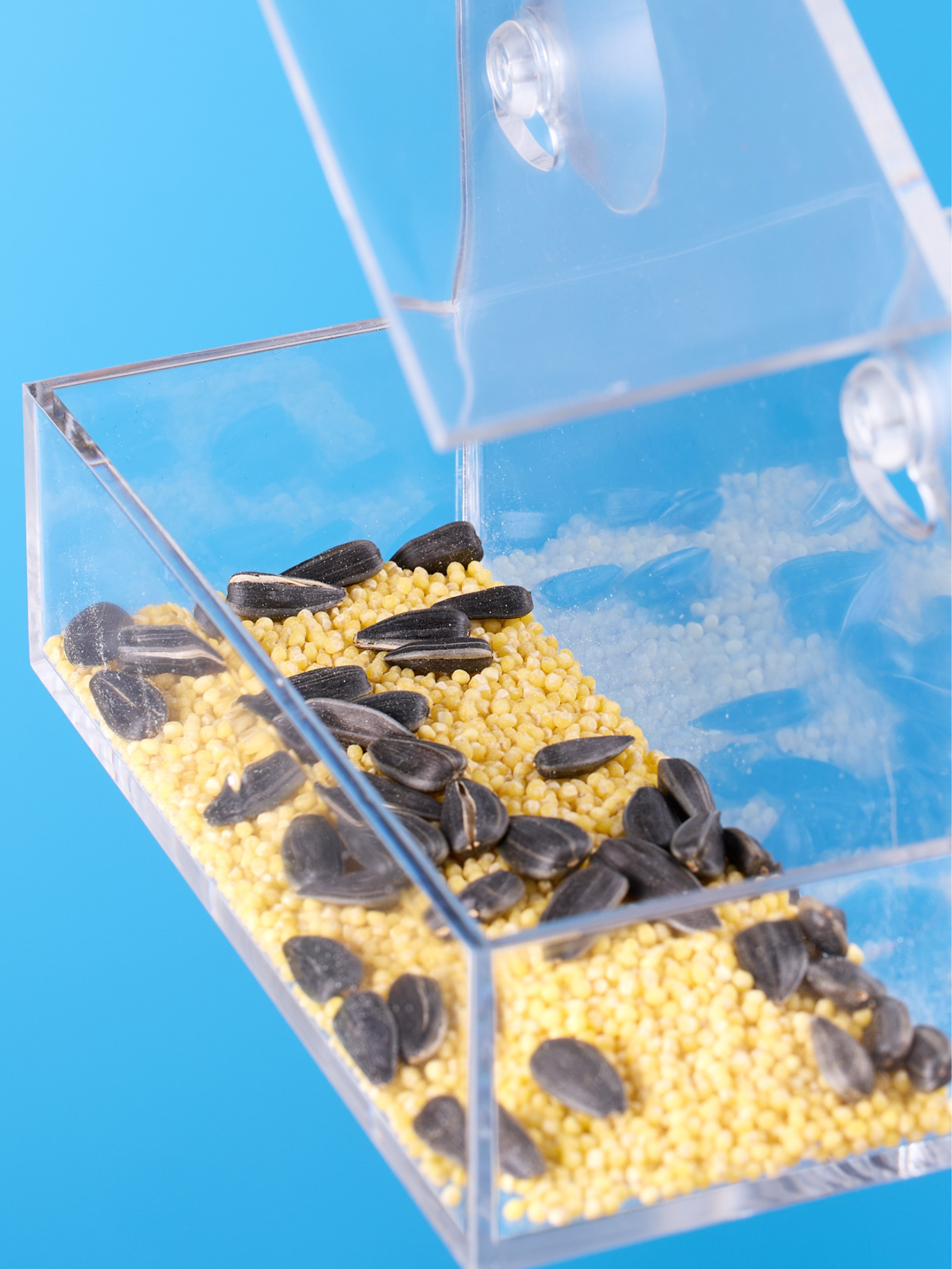 Предметная съемка товаров для животных. Съемка товаров для животных. Предметная съемка. Предметный фотограф Орехово-Зуево