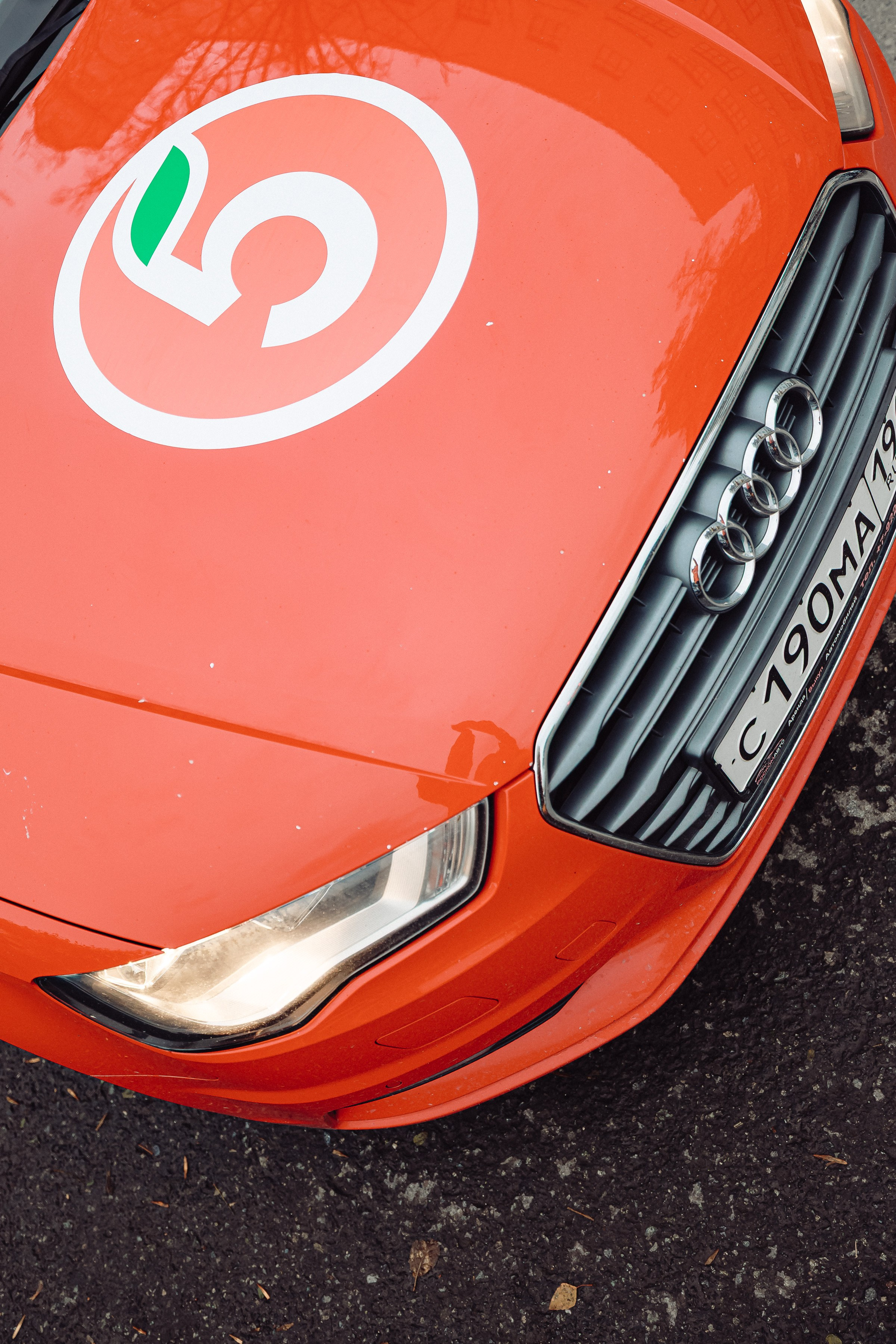 Репортаж. Фотограф Алиса Болденкова