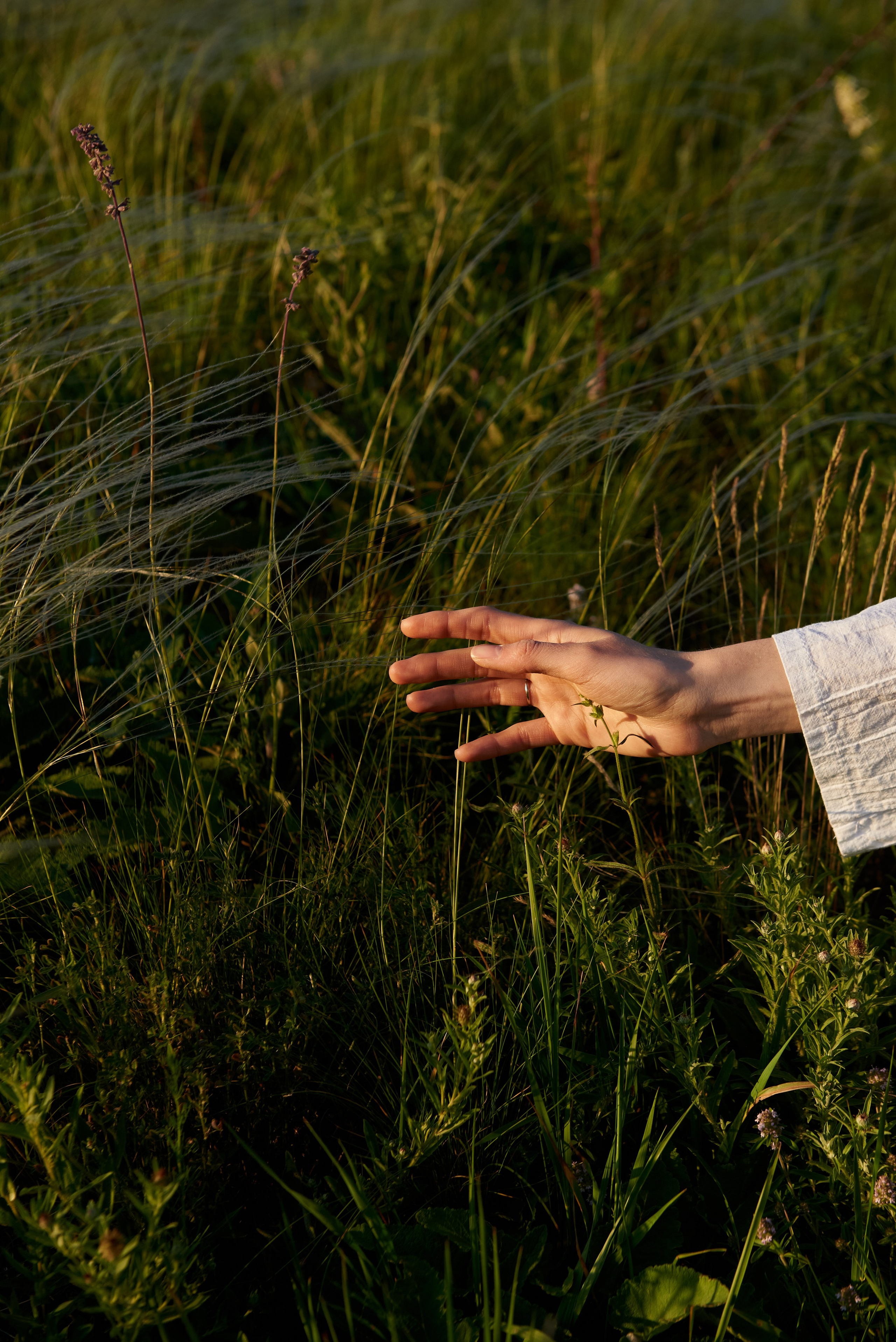Степан & Юлия. Фотограф Новочеркасск Ростов Карина Чернова